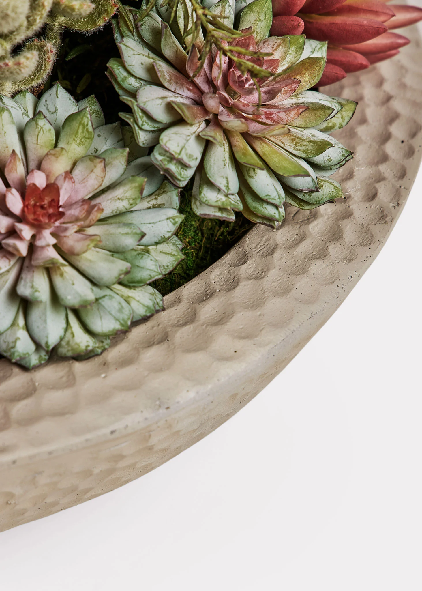 Faux Potted Plant Arrangement of Succulents - 13" - Image 3