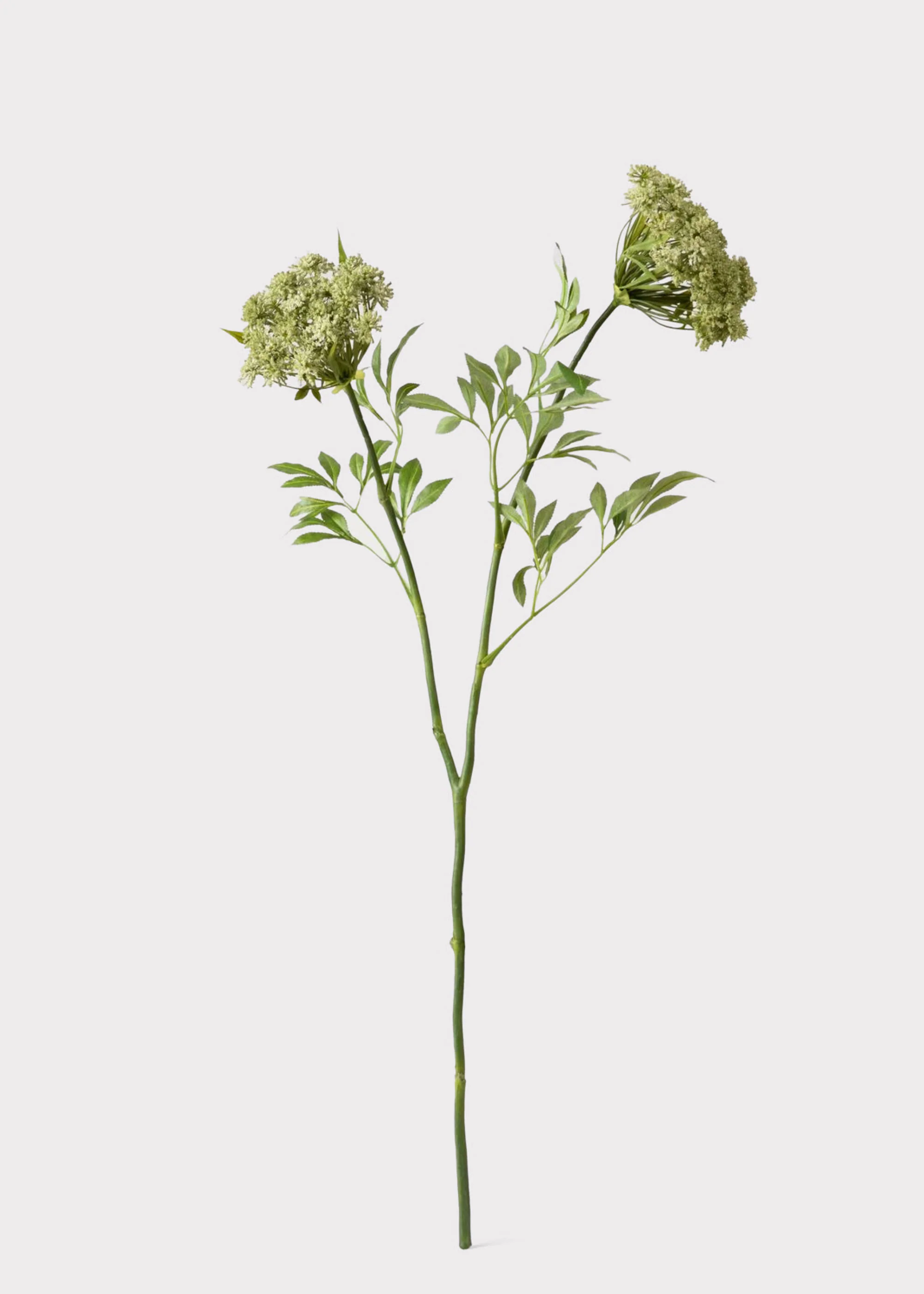 SAVE - Faux Queen Anne's Lace Wildflowers - 36" - Image 5