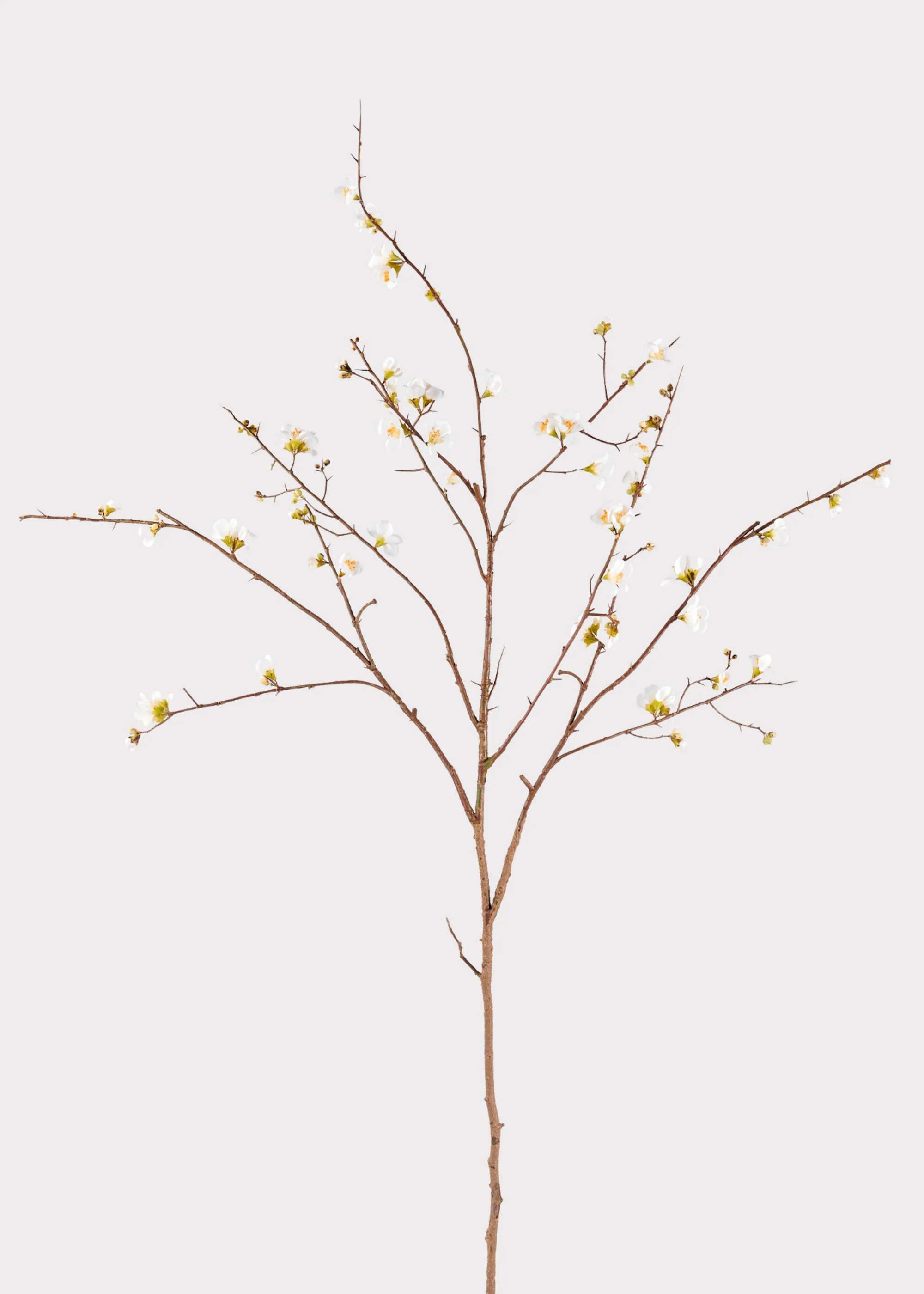SAVE - Faux Quince Blossom Branch in Cream - 54" - Image 4