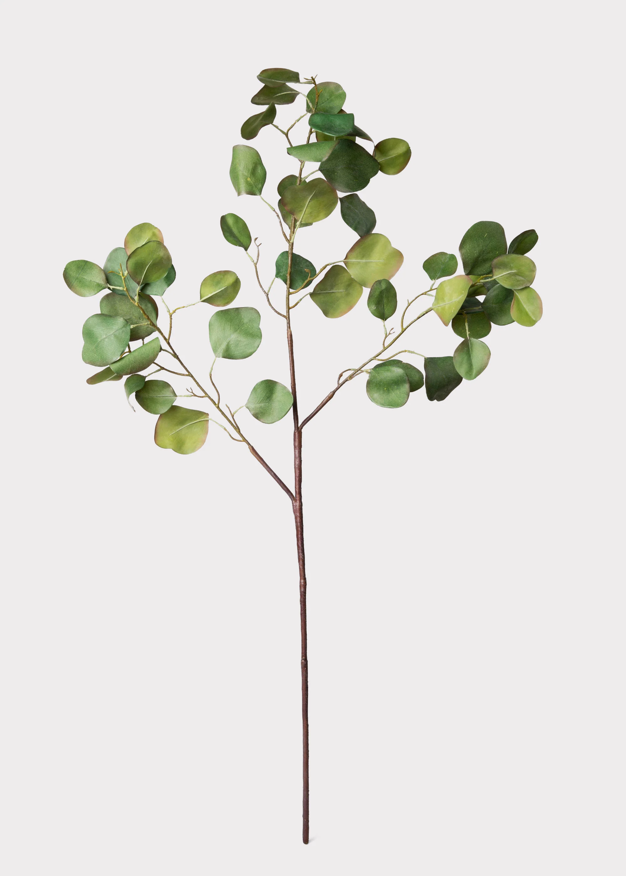 Faux Silver Dollar Eucalyptus Branch - 39" - Image 3