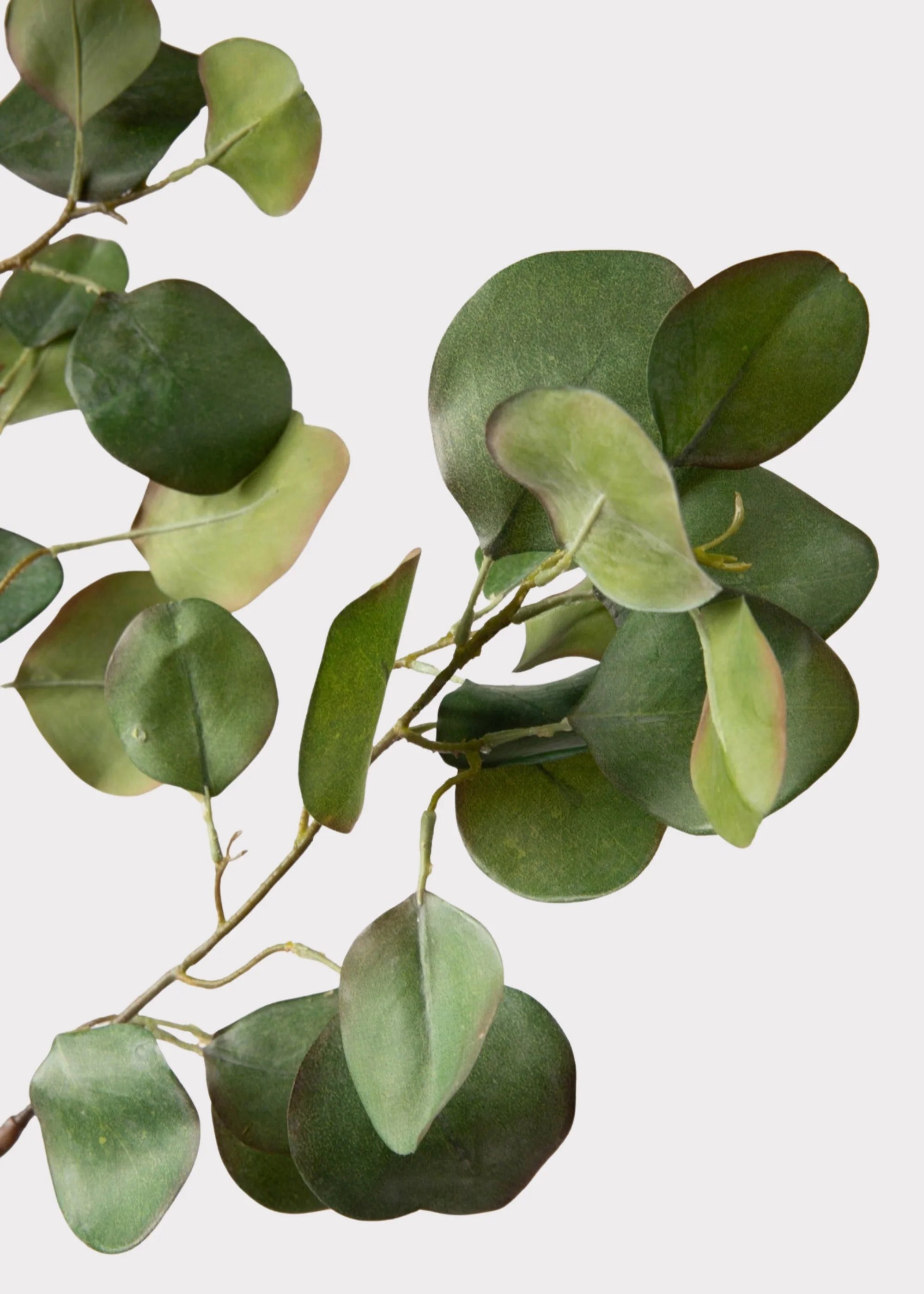 Faux Silver Dollar Eucalyptus Branch - 39" - Image 4