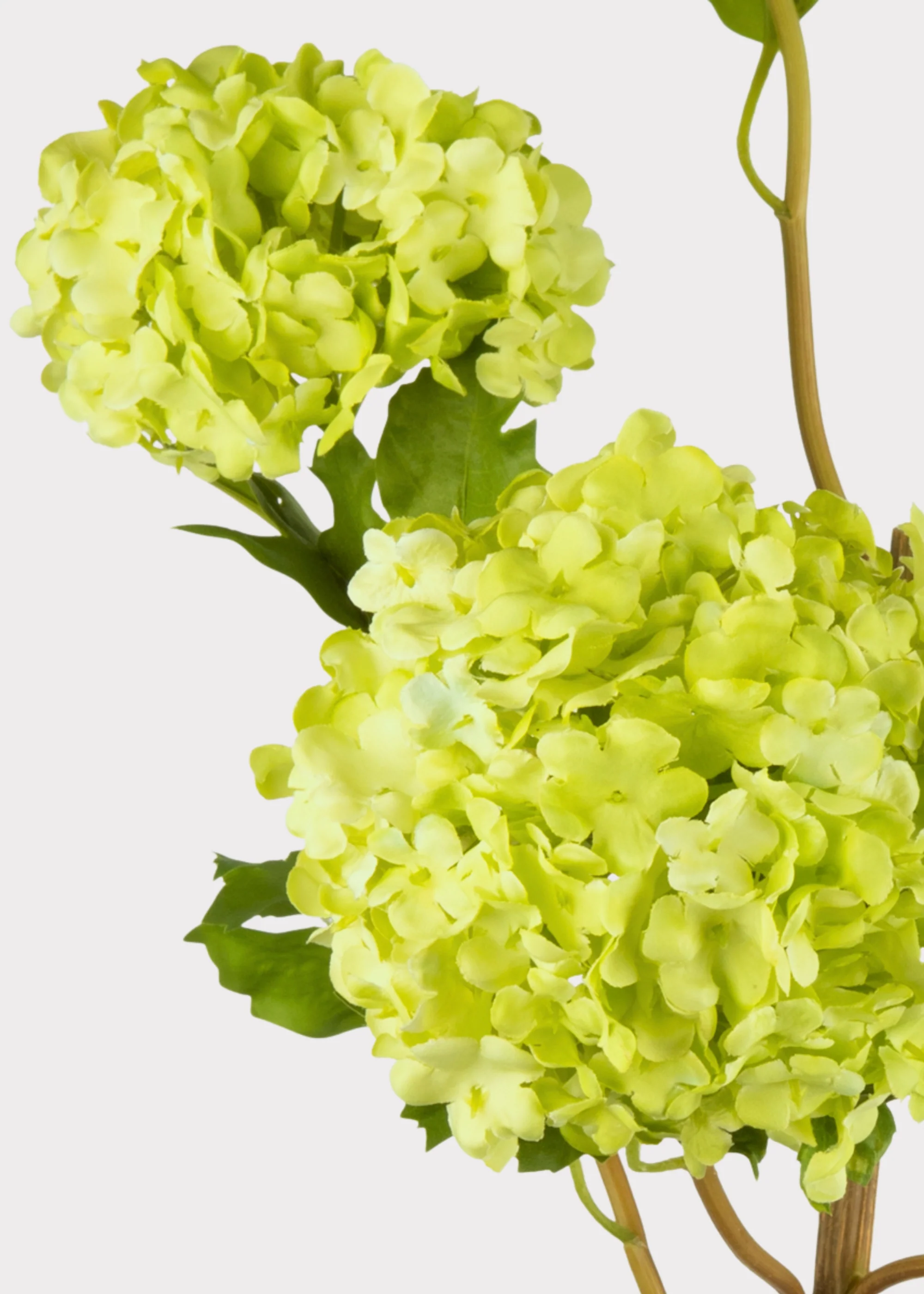 SAVE - Faux Flowers Snowball Flower Stem in Green - 43.5" - Image 3