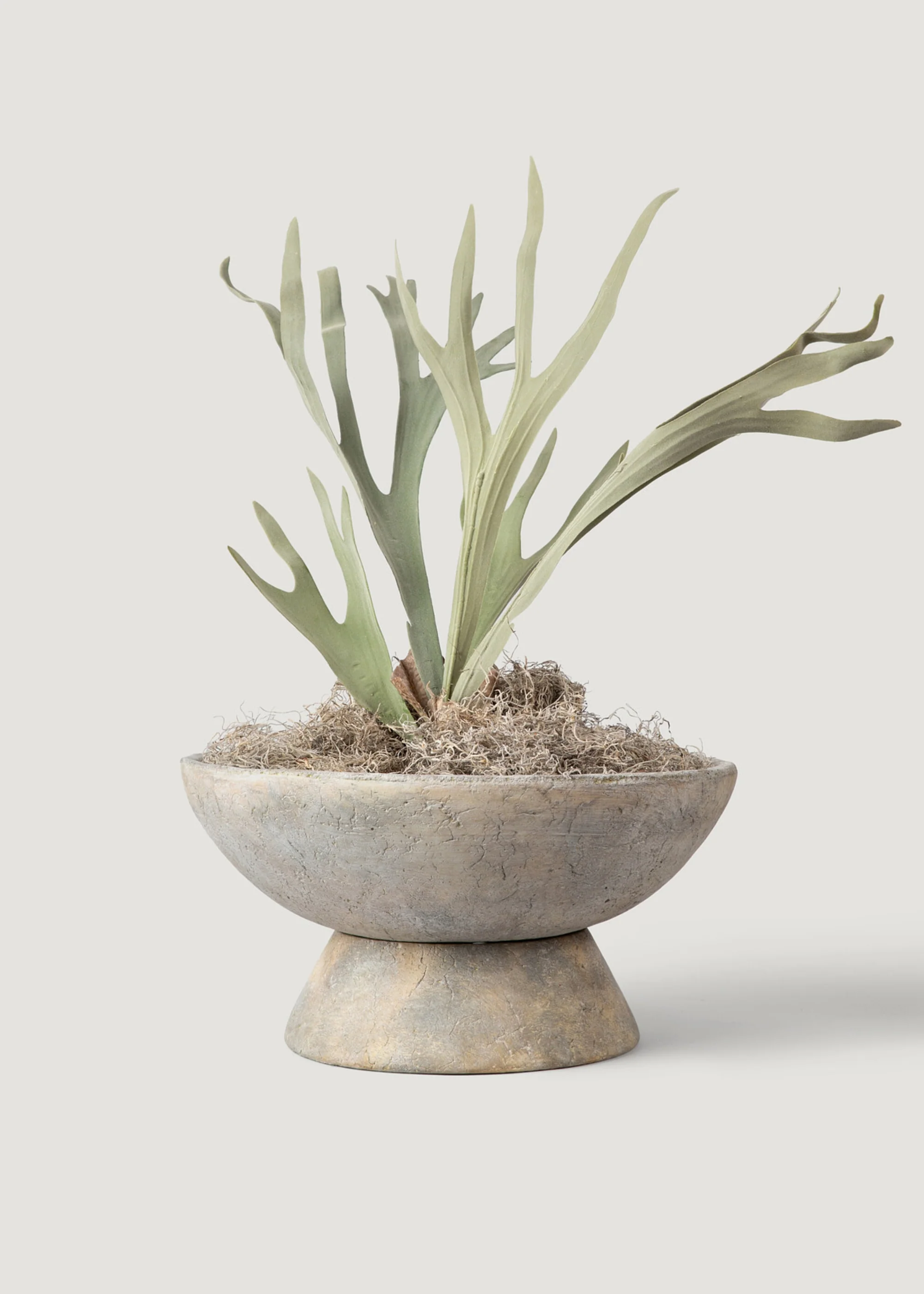 Fake Staghorn Plant - 24.5" - Image 2