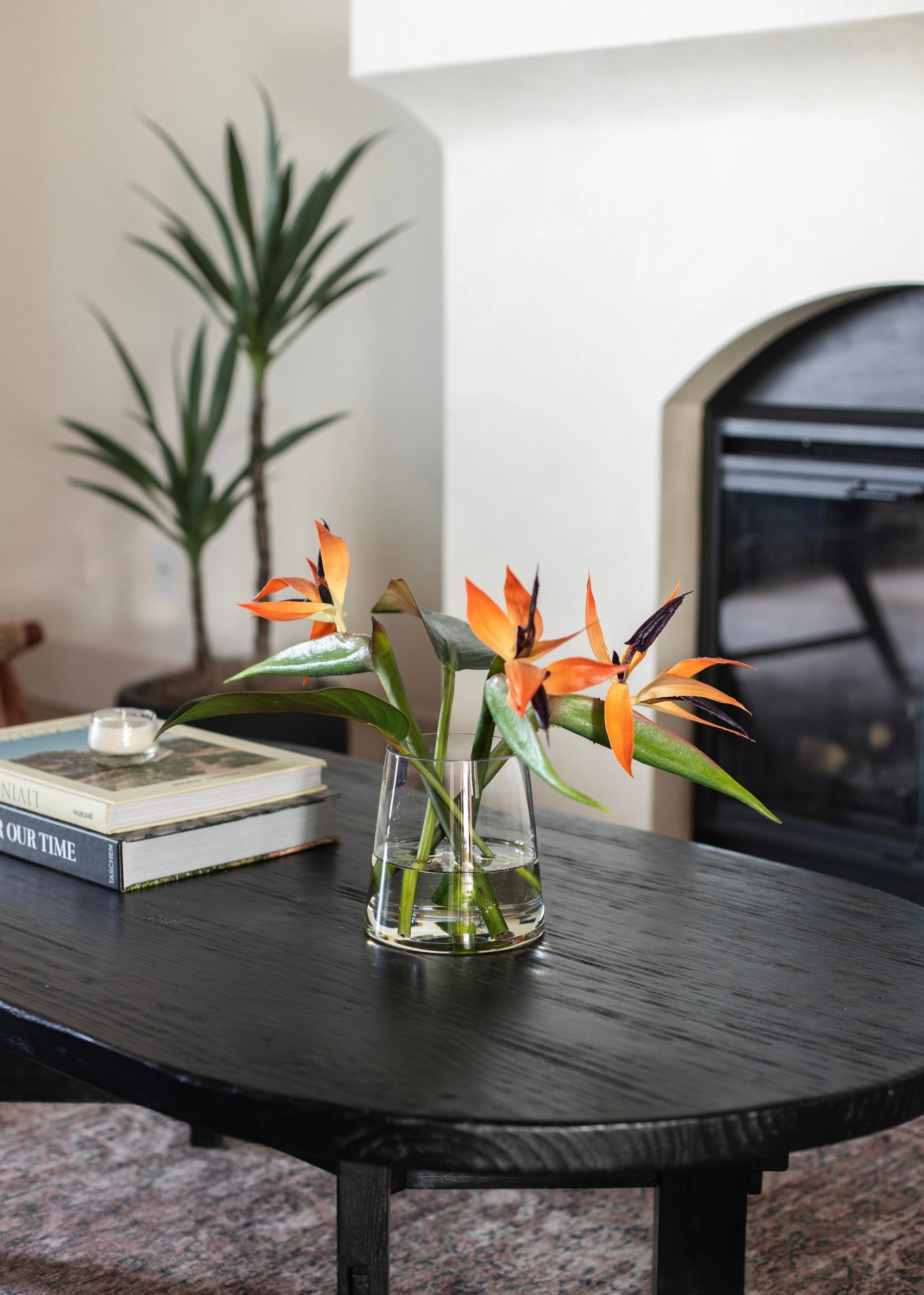 Faux Tropical Bird of Paradise Arrangement in Glass Vase - 11" - Image 5