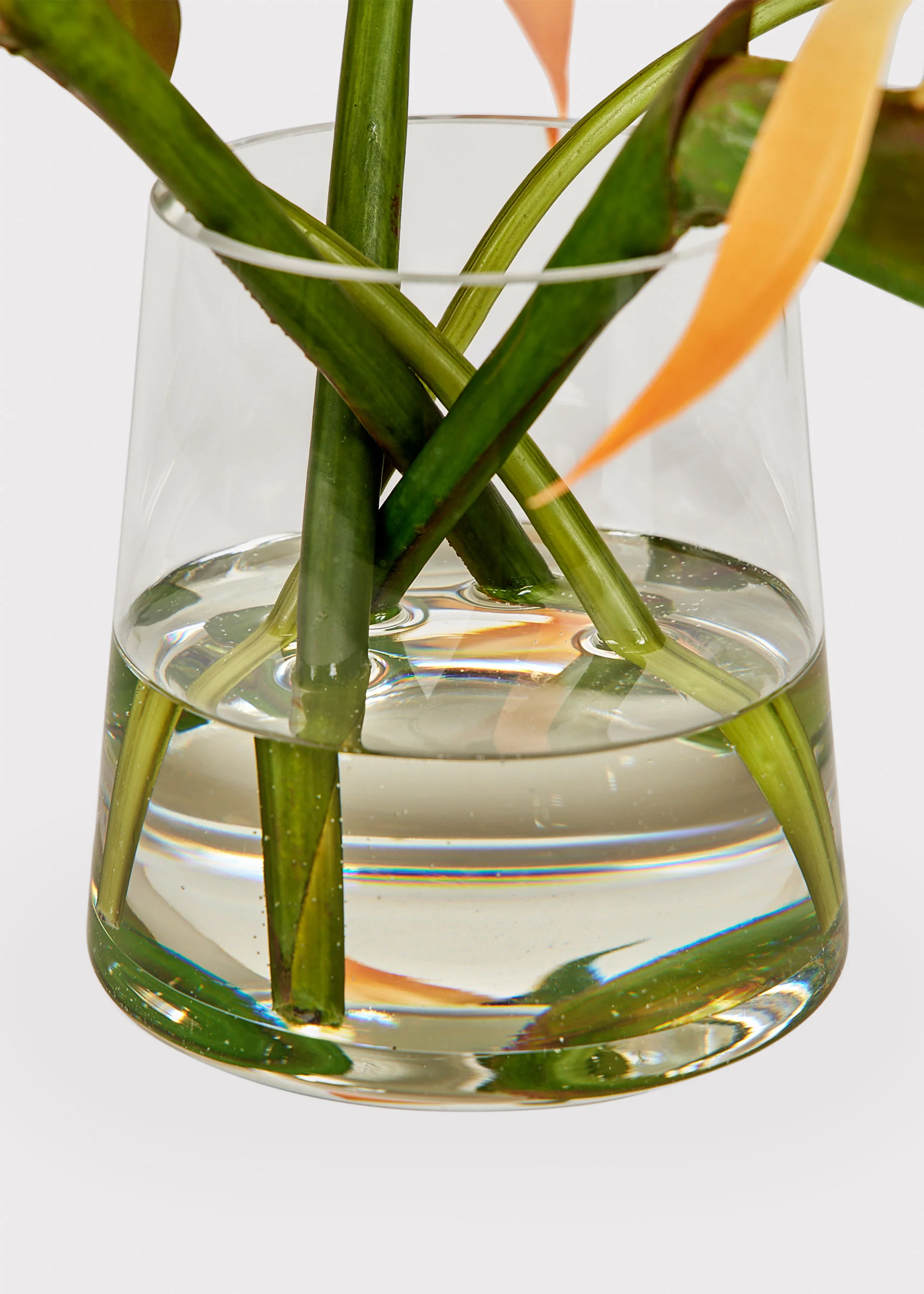Faux Tropical Bird of Paradise Arrangement in Glass Vase - 11" - Image 6