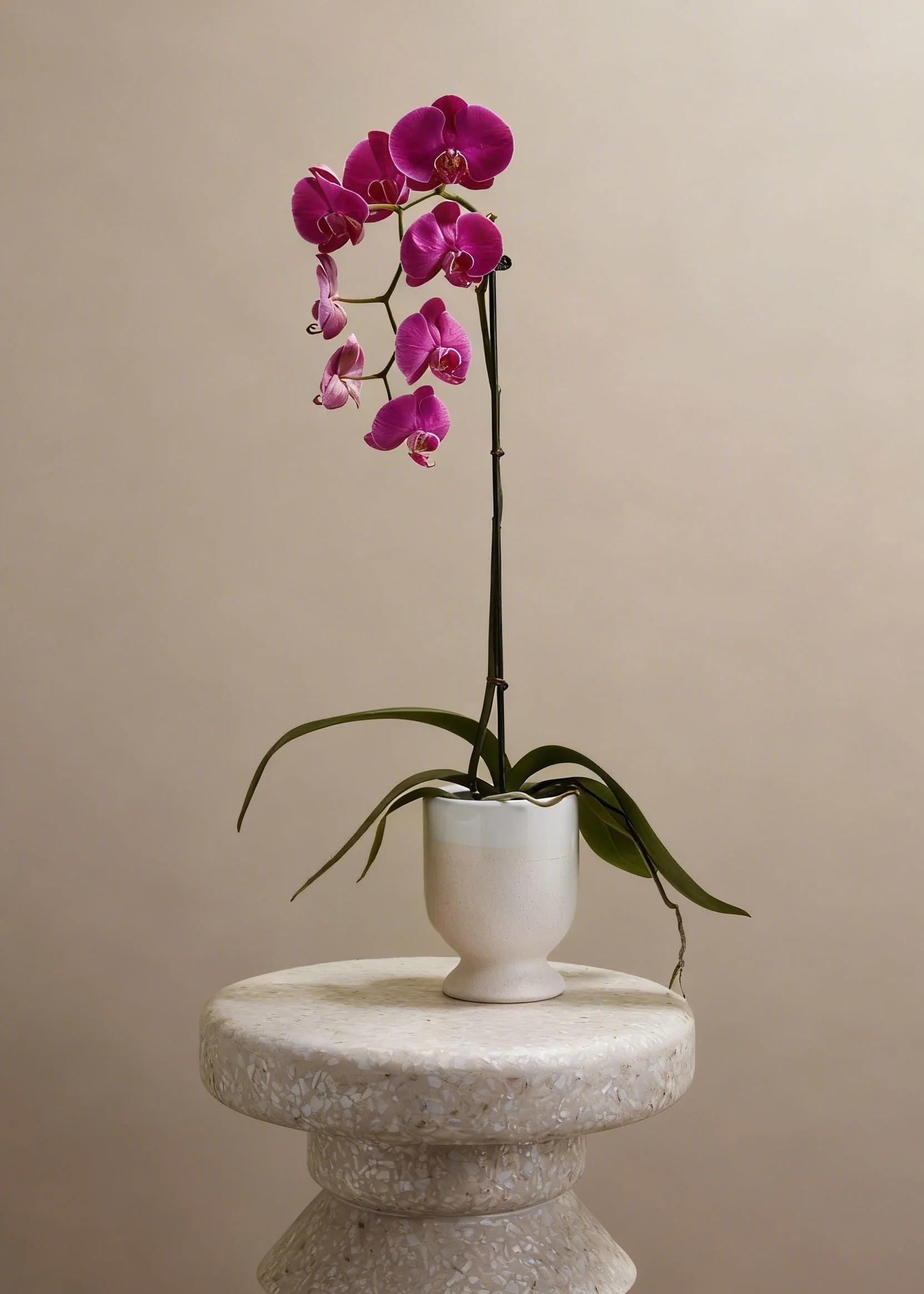 Footed Ceramic Laney Vase in Speckled White - 6.5" - Image 3