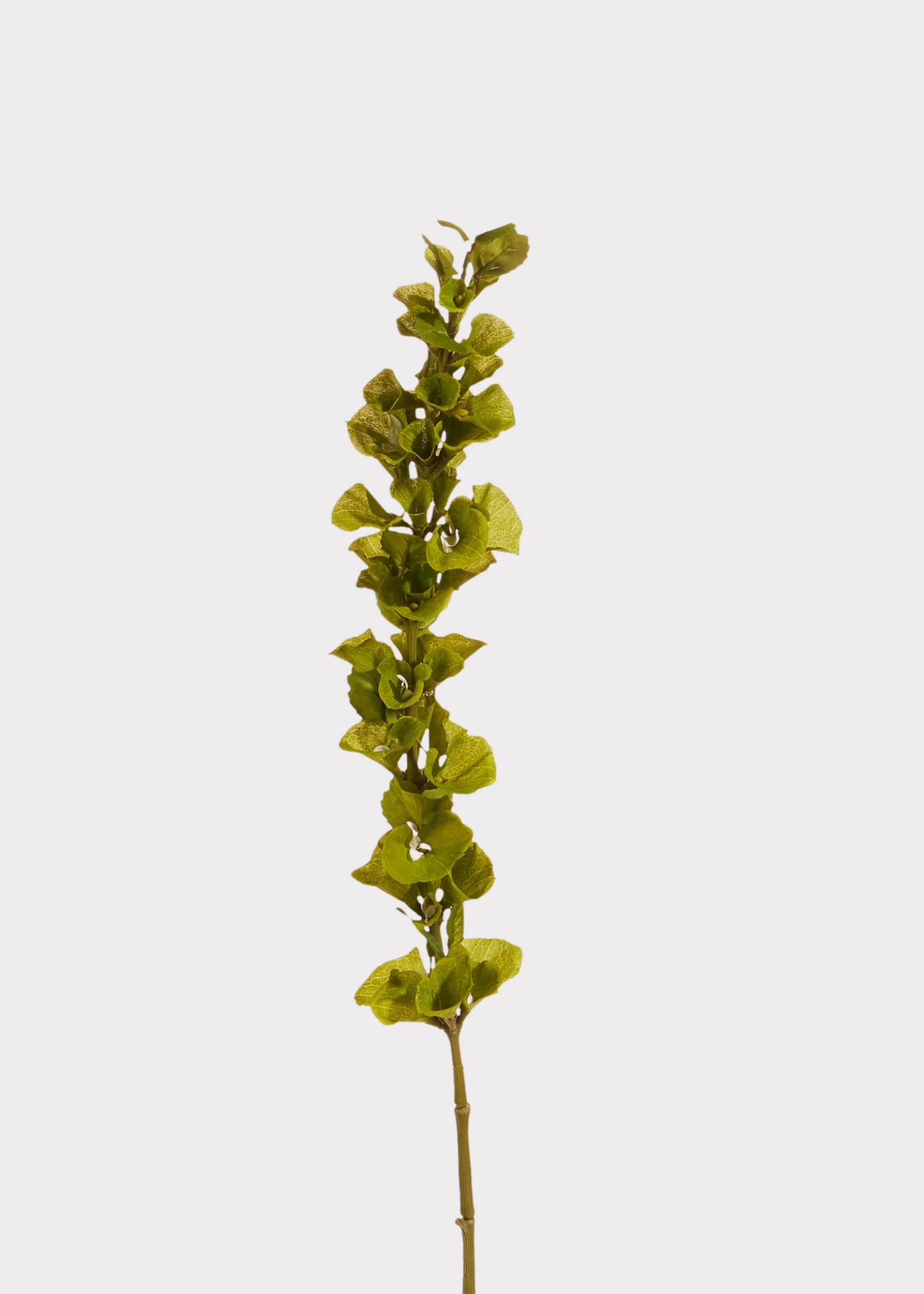 Green Artificial Bells of Ireland Flower Stem - 42"