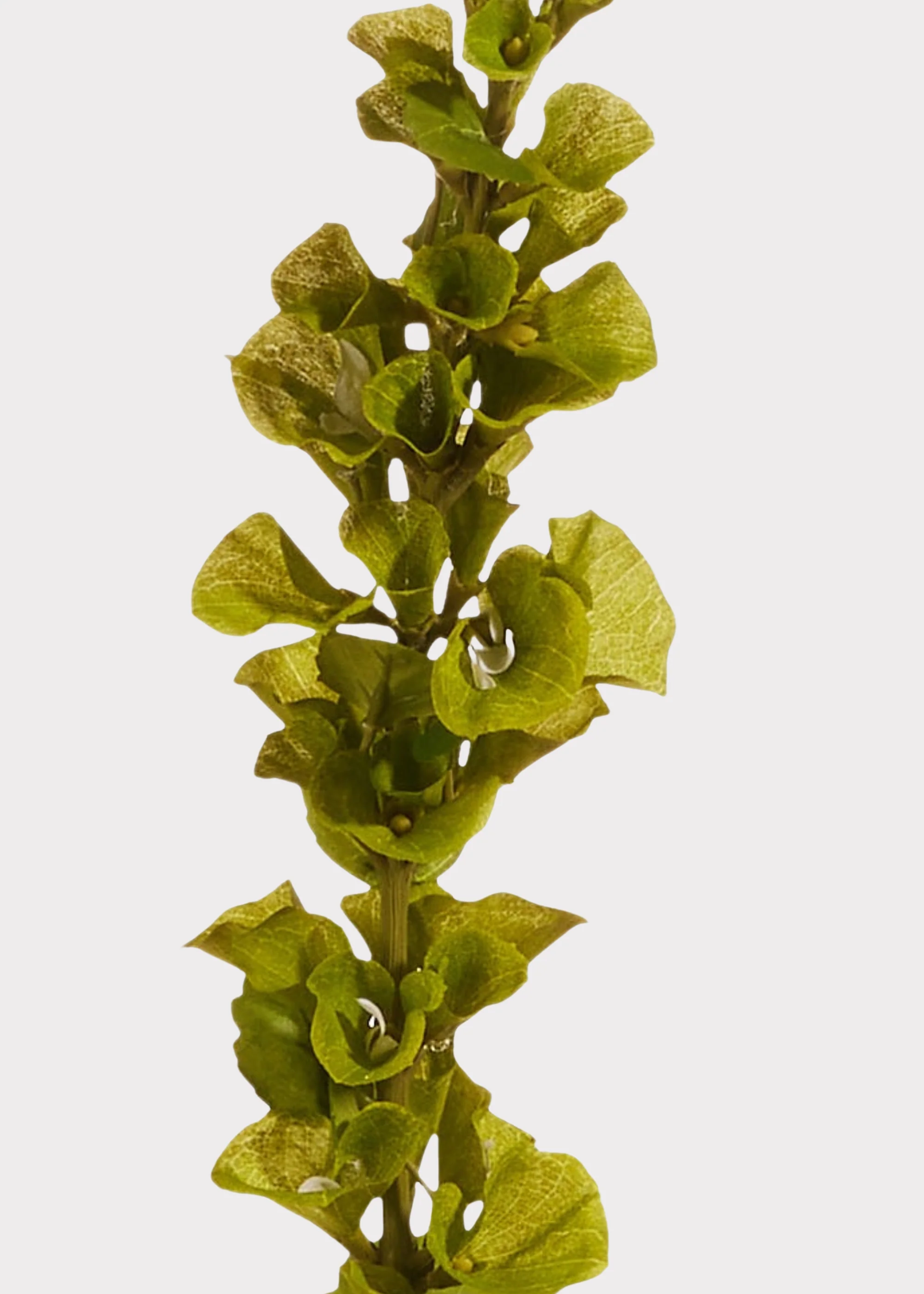 Green Artificial Bells of Ireland Flower Stem - 42" - Image 2