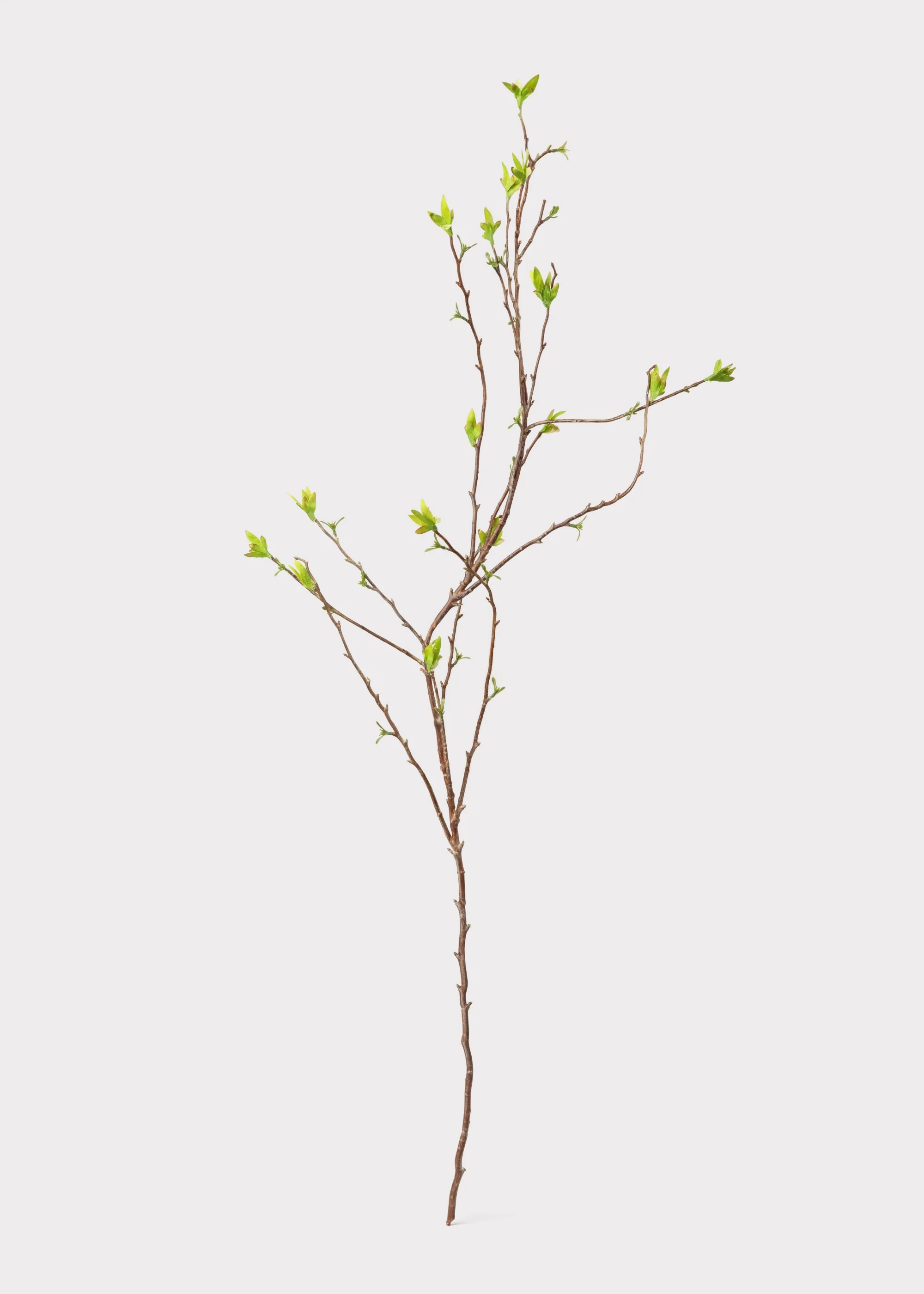 Green Artificial Budding Spring Willow Branch - 41" - Image 3