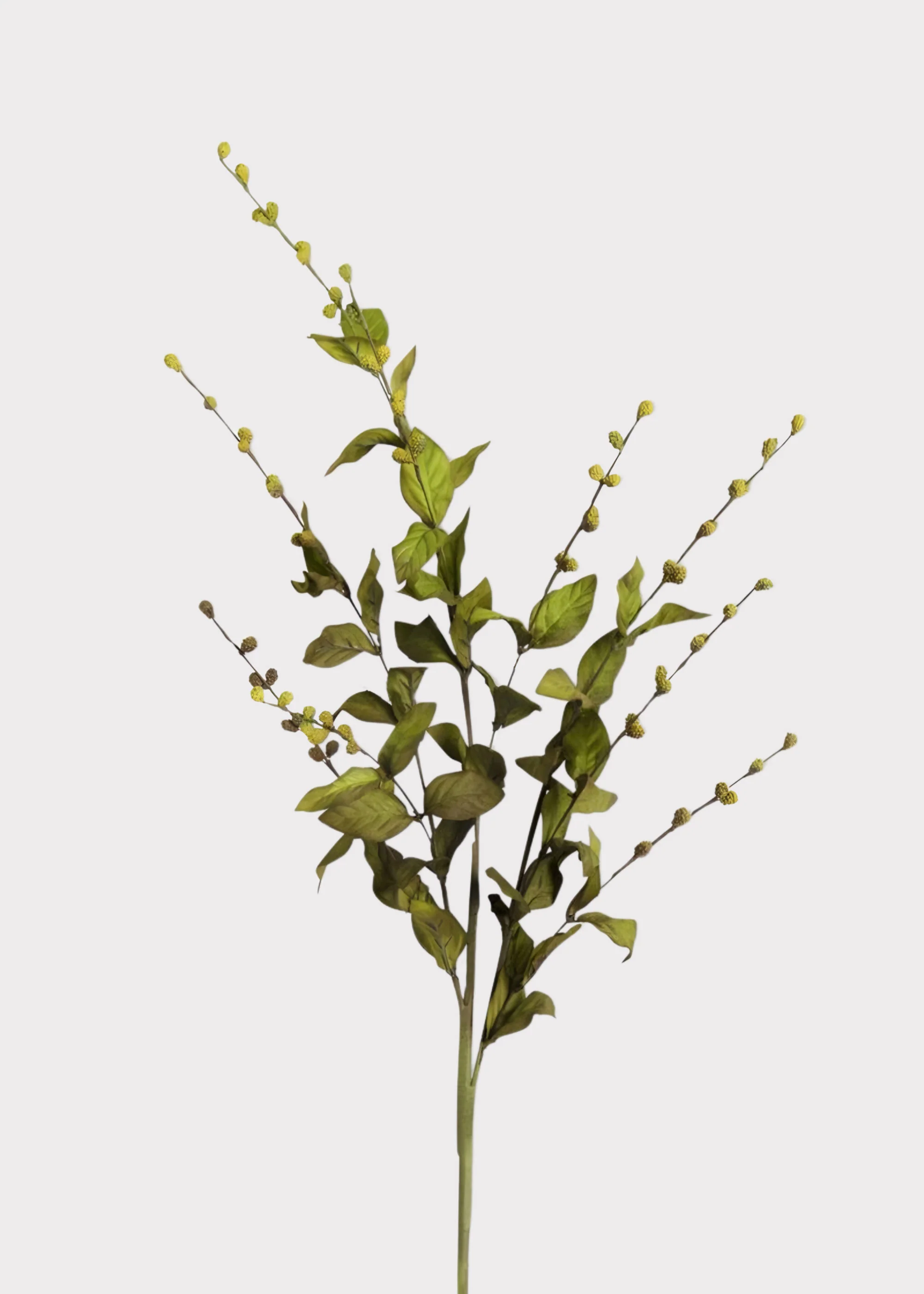 Green Artificial European Beech Foliage Branch - 35"