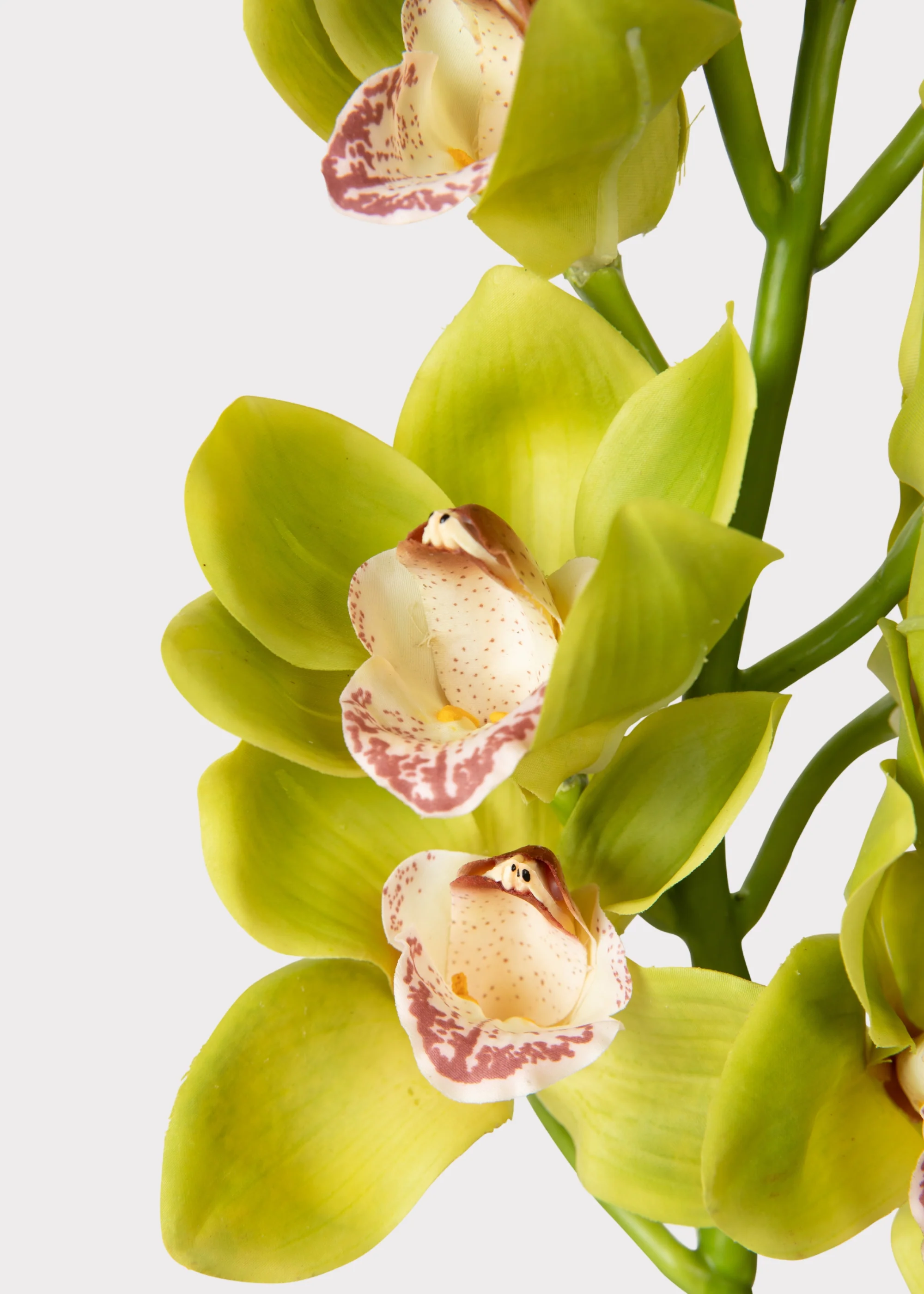 Green Burgundy Faux Cymbidium Orchids - 28.5" - Image 2