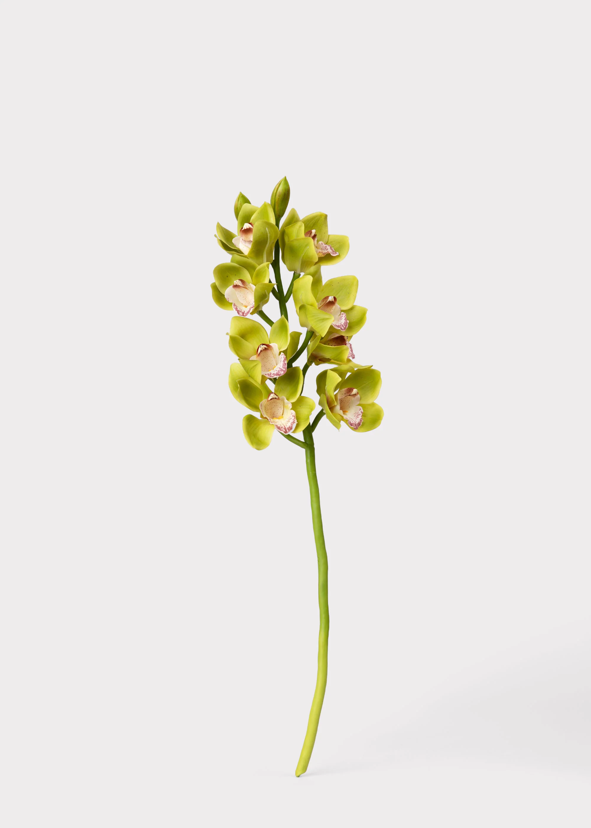 Green Burgundy Faux Cymbidium Orchids - 28.5" - Image 4