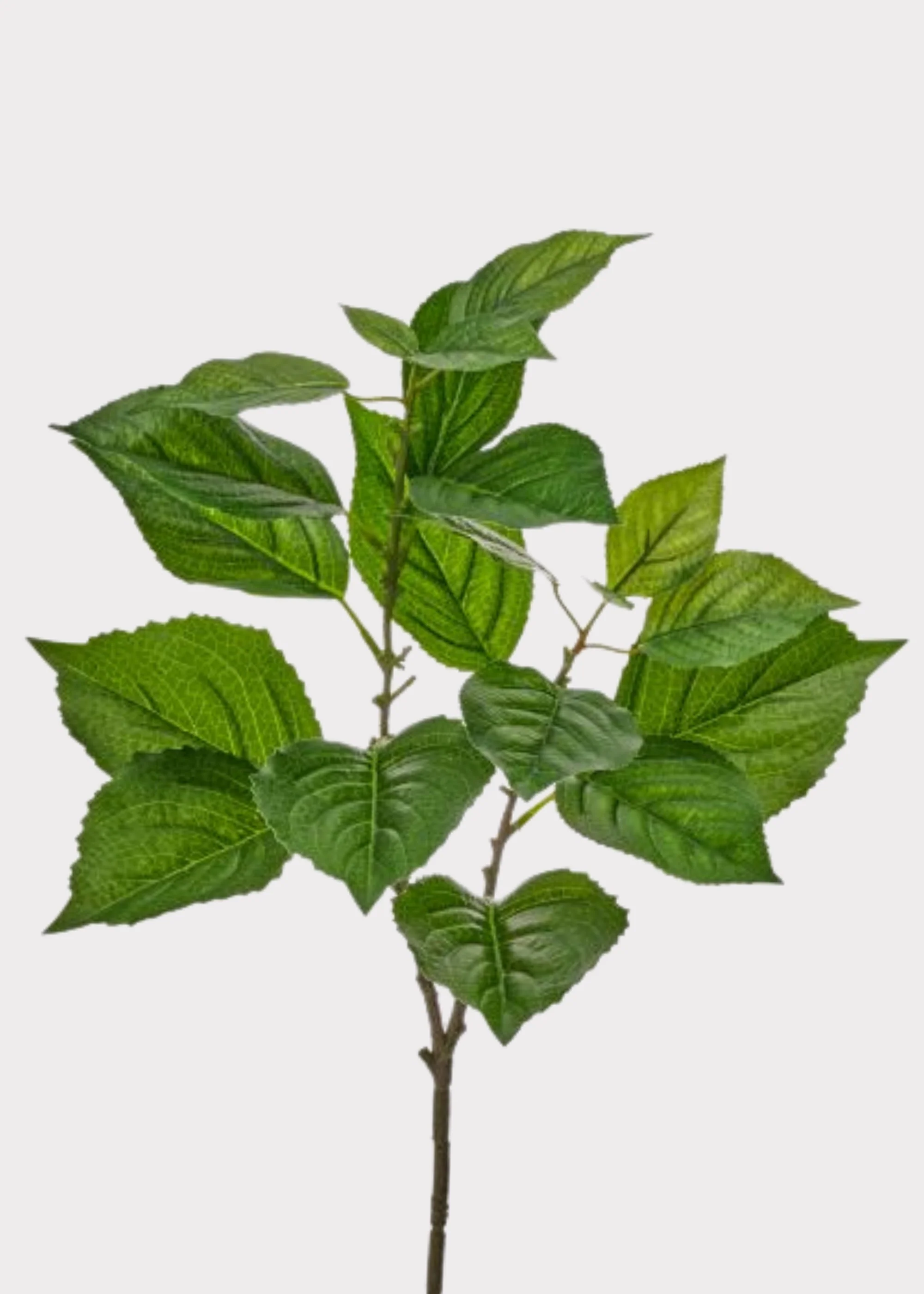 Green Fake Real Touch Hydrangea Leaf Spray - 26"