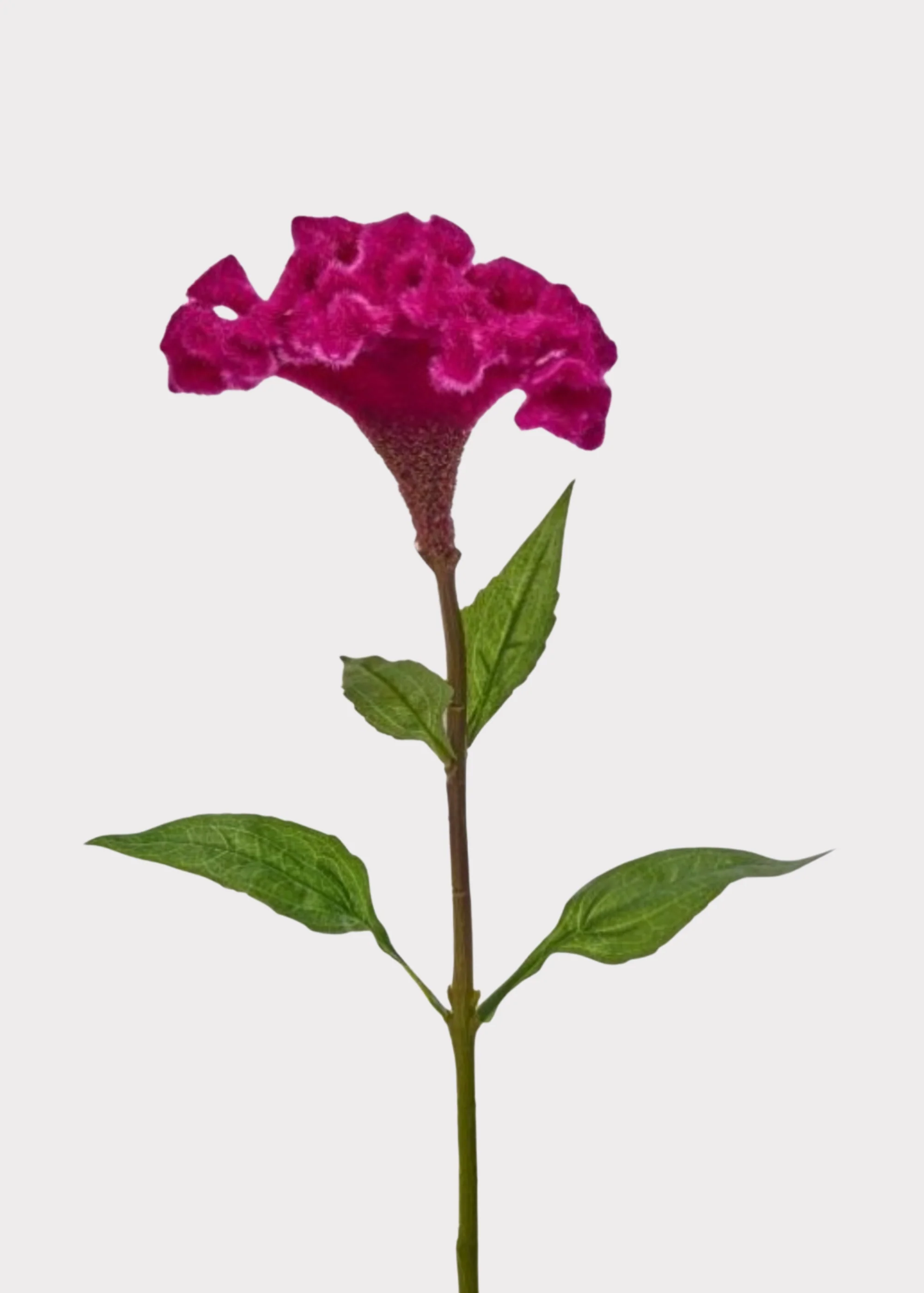 Hot Pink Artificial Celosia Flower Stem - 28"