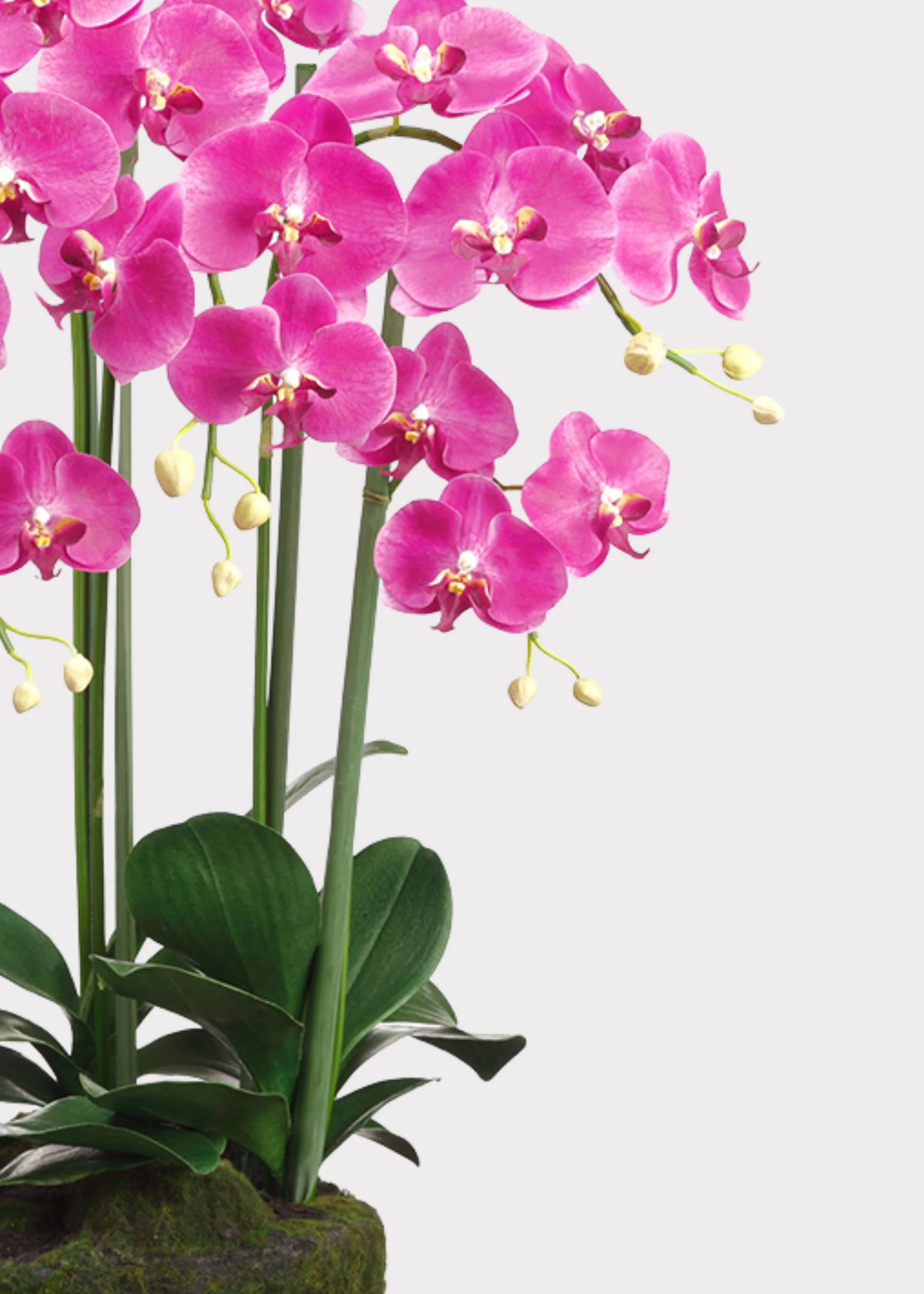 Hot Purple Fuchsia Large Fake Orchid Drop-In Plant - 39" - Image 2