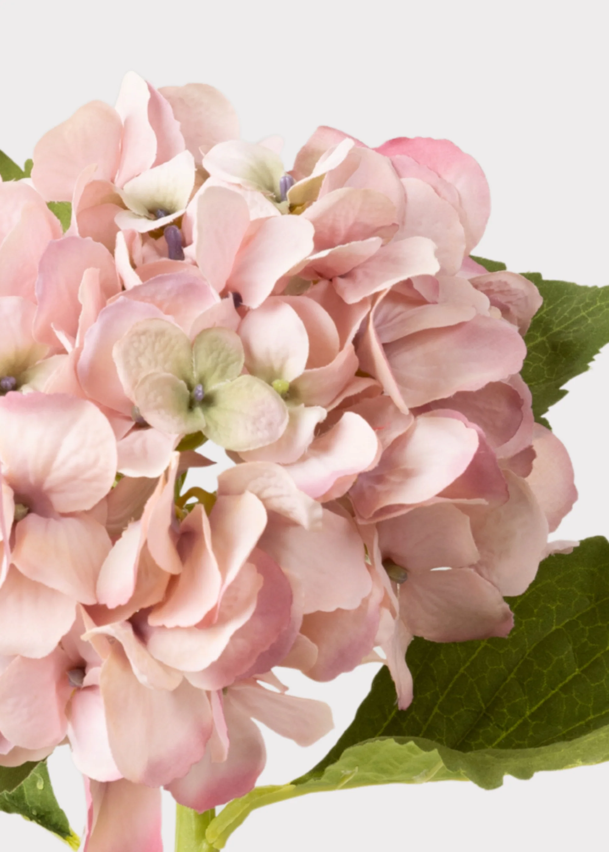 Small Hydrangea Artificial Flower in Antique Pink - 19" - Image 3