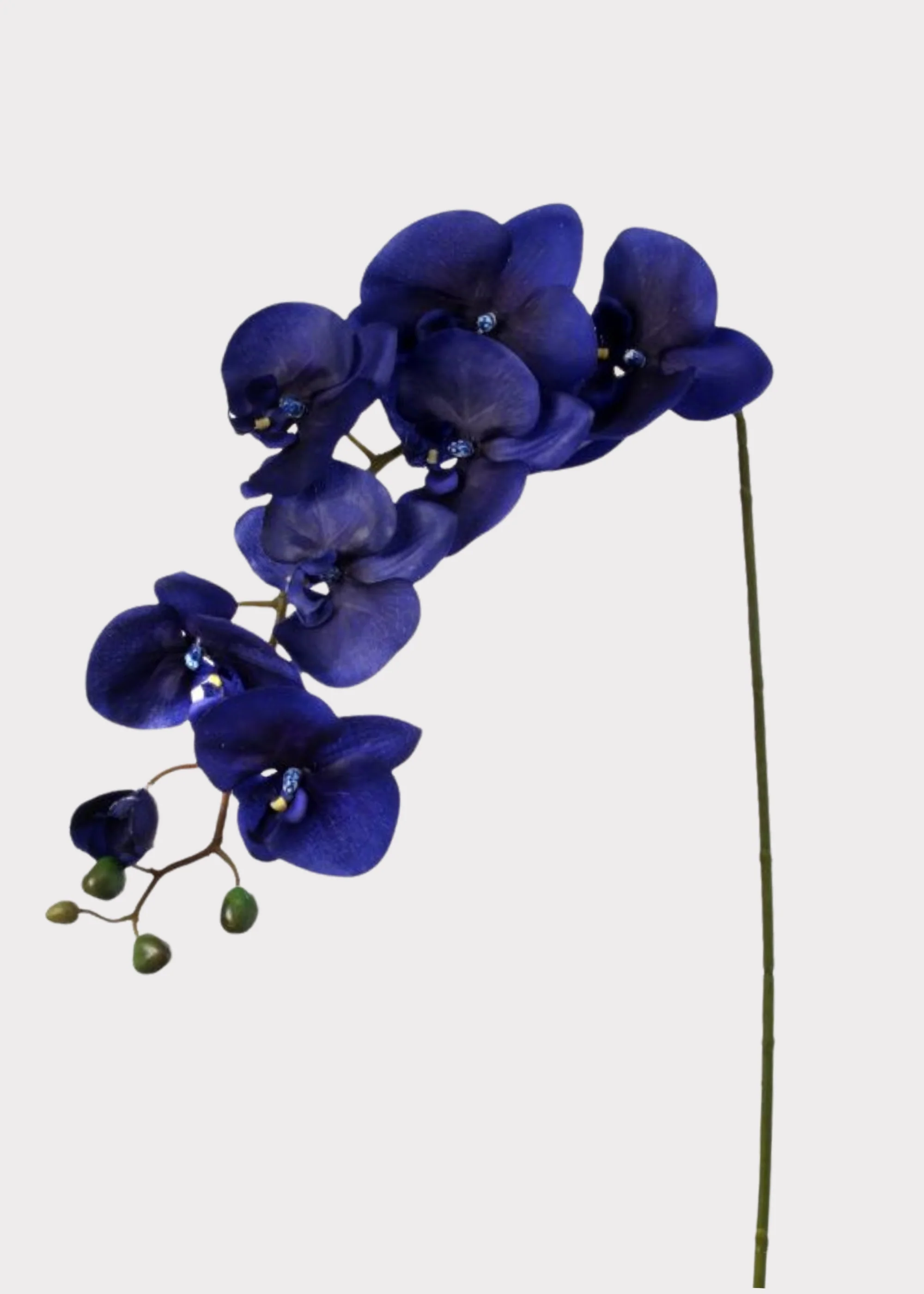 Indigo Blue Fake Phalaenopsis Orchid - 38"
