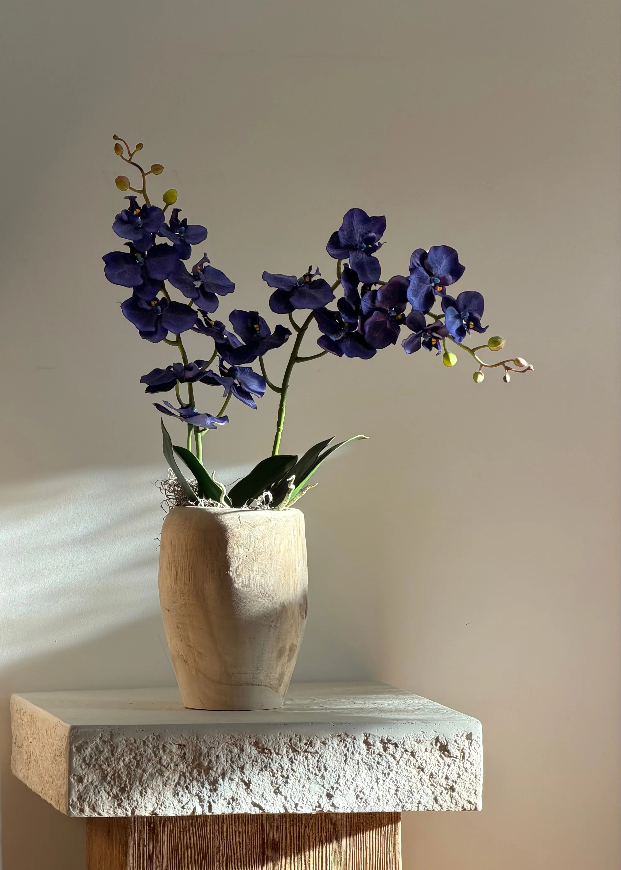 Indigo Blue Fake Phalaenopsis Orchid - 38" - Image 2