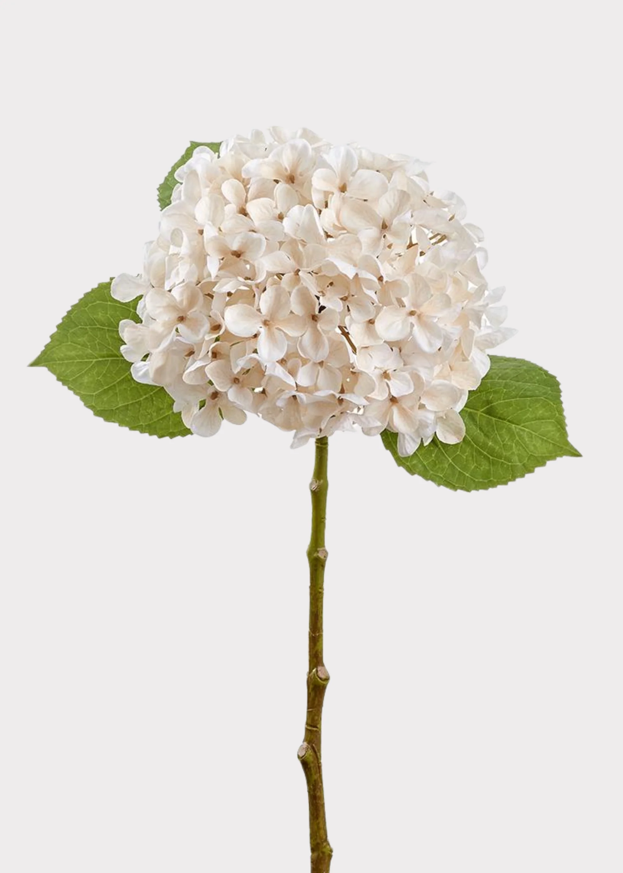 Ivory Cream Fake Hydrangea Flower - 17.5"