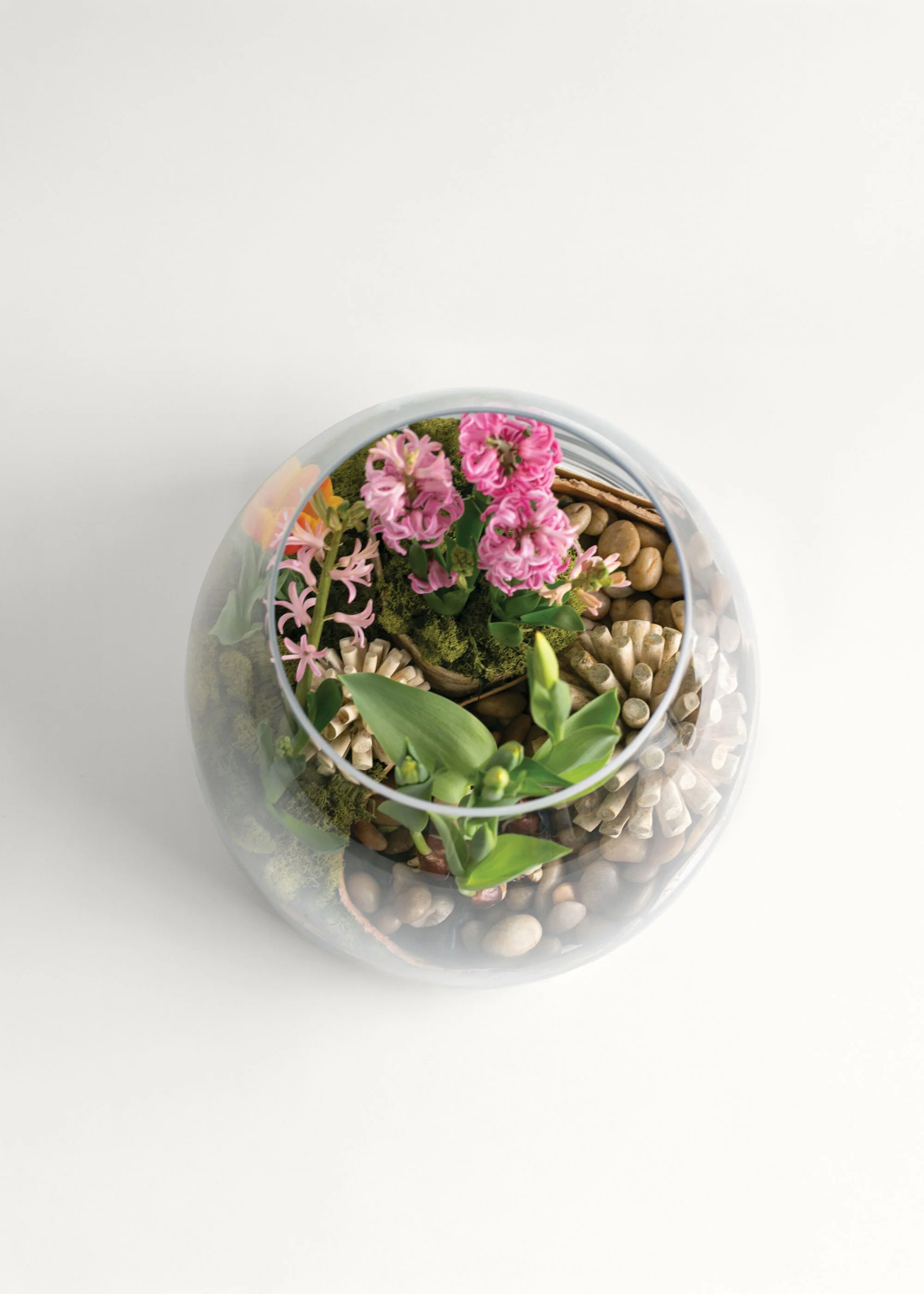 Large Clear Glass Terrarium Vase - 15.25" - Image 3