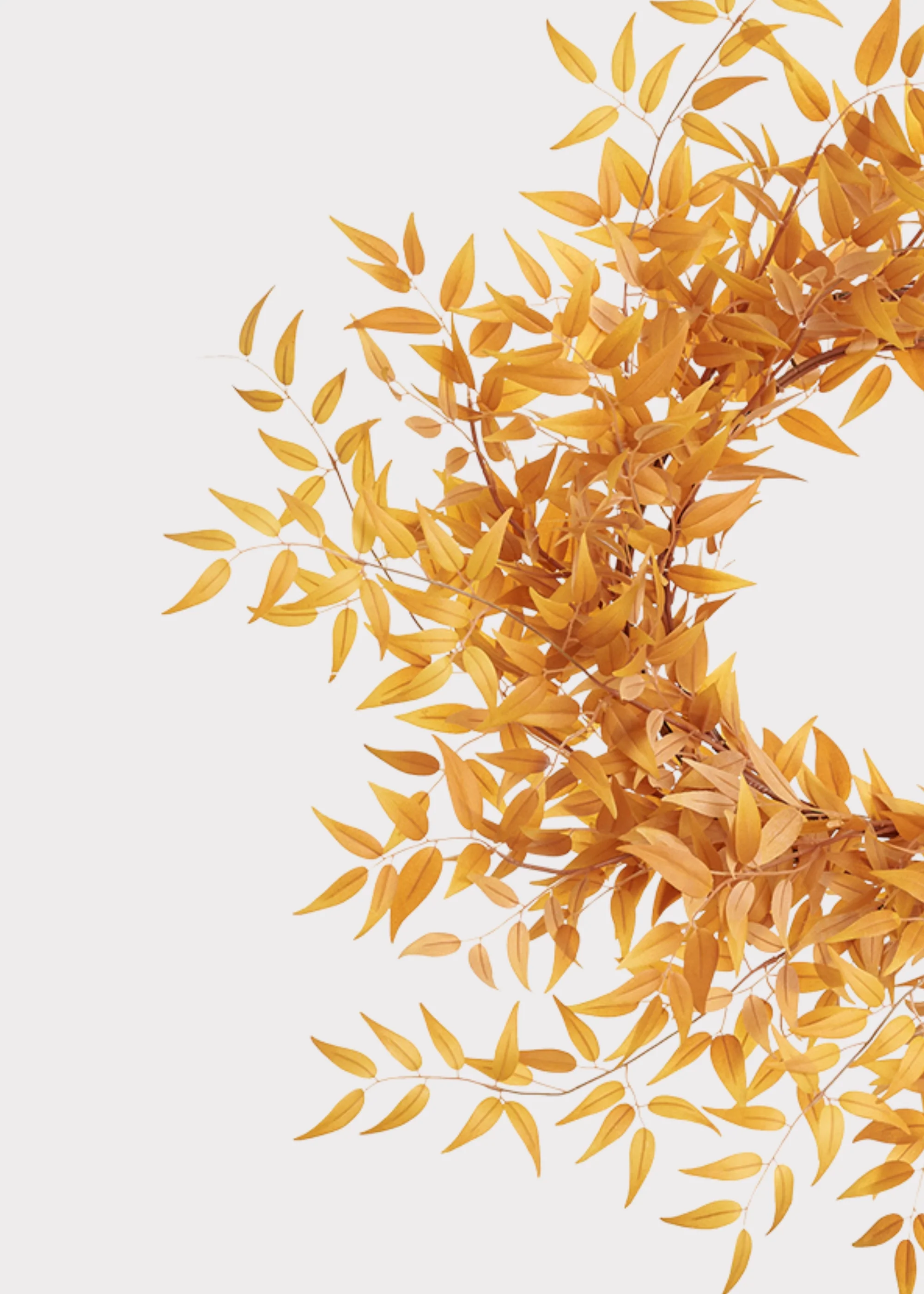 Large Fake Italian Ruscus Leaf Wreath in Autumn Mustard - 28" - Image 2
