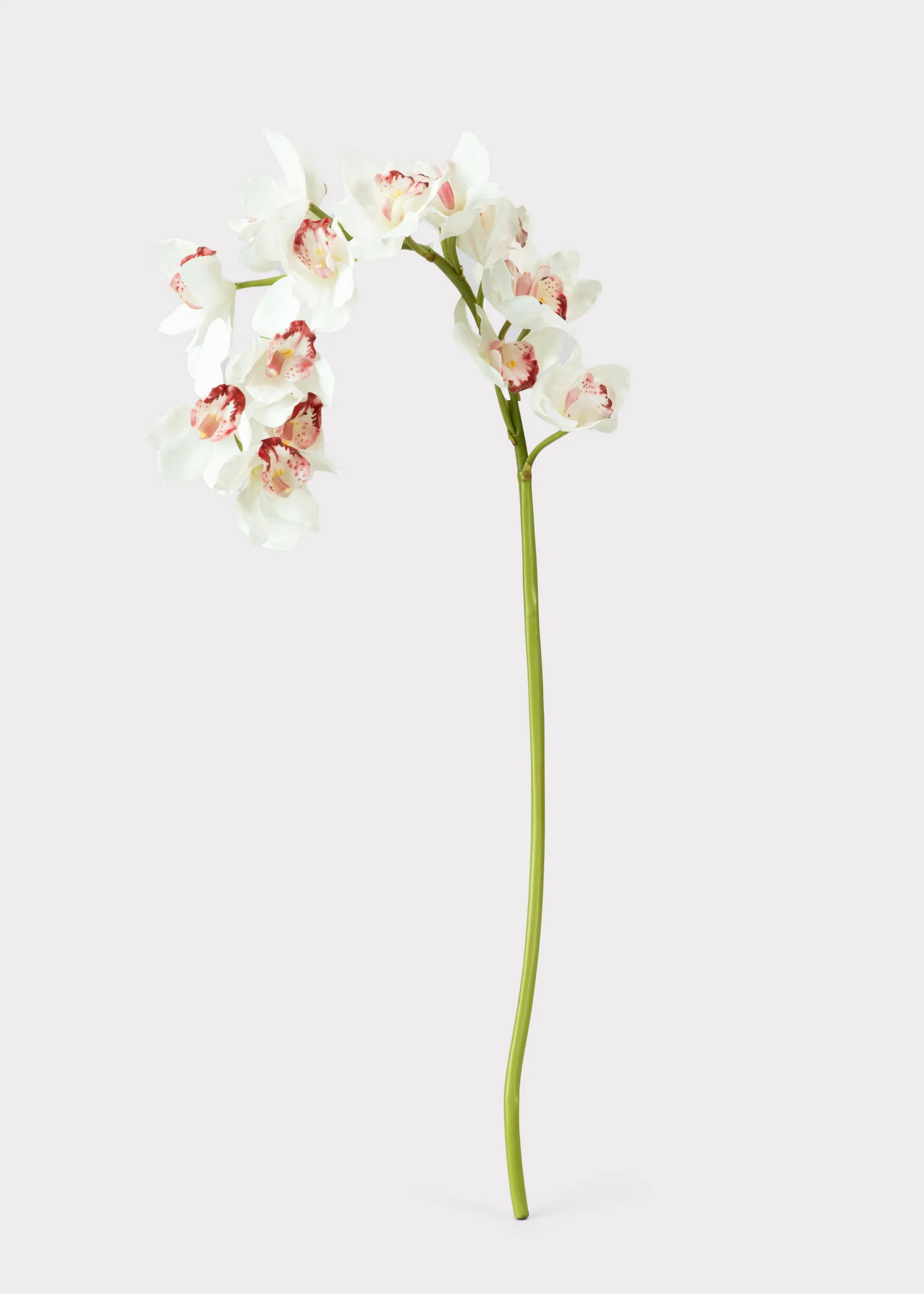 Large Natural Touch Cymbidium Orchid in White - 45" - Image 3
