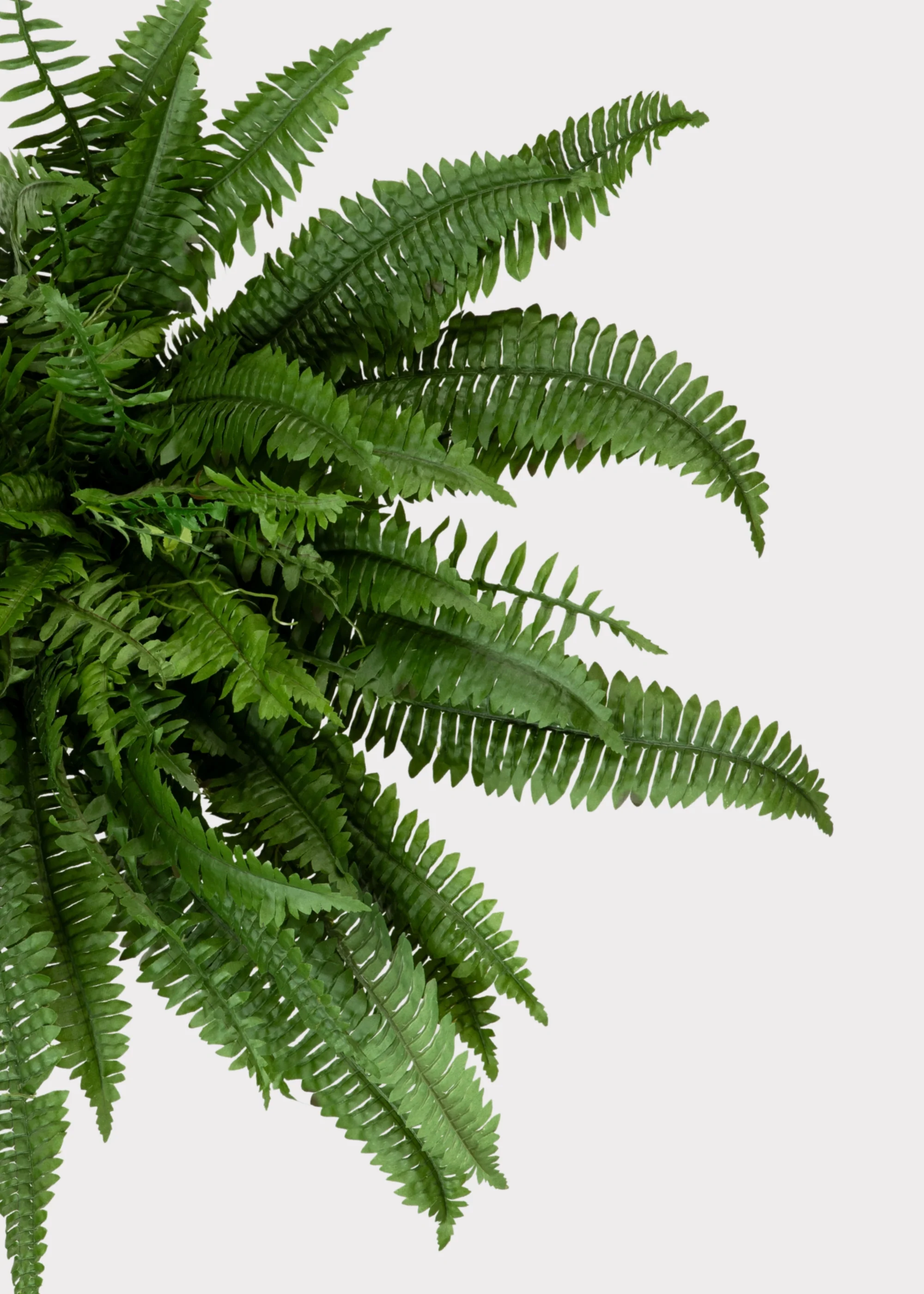 Large UV Resistant Outdoor Fake Boston Fern Plant - 38" - Image 4