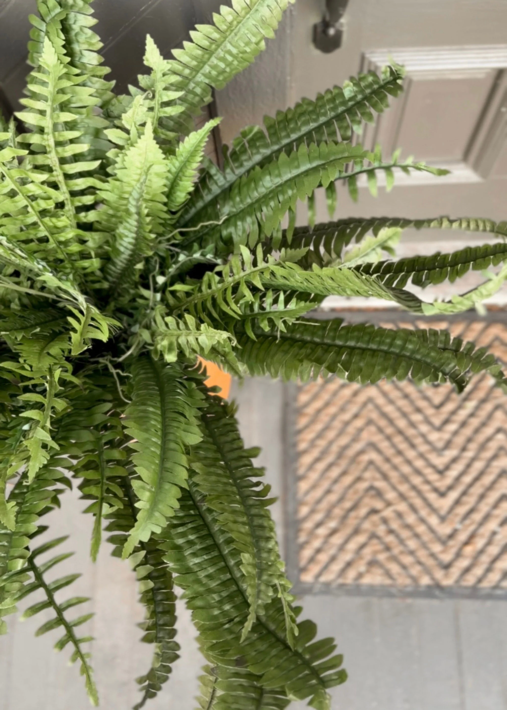 Large UV Resistant Outdoor Fake Boston Fern Plant - 38" - Image 5