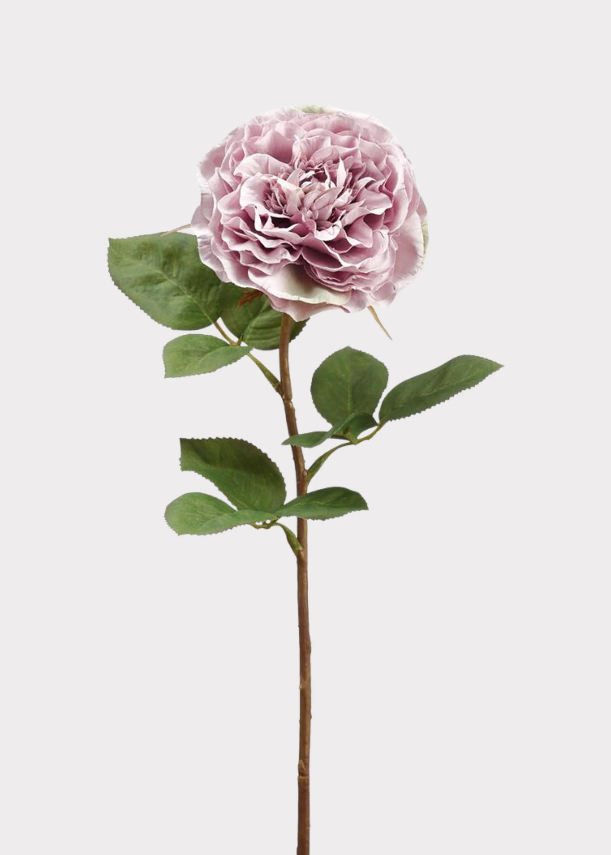 Lavender Artificial Cabbage Rose Flower - 21.25"