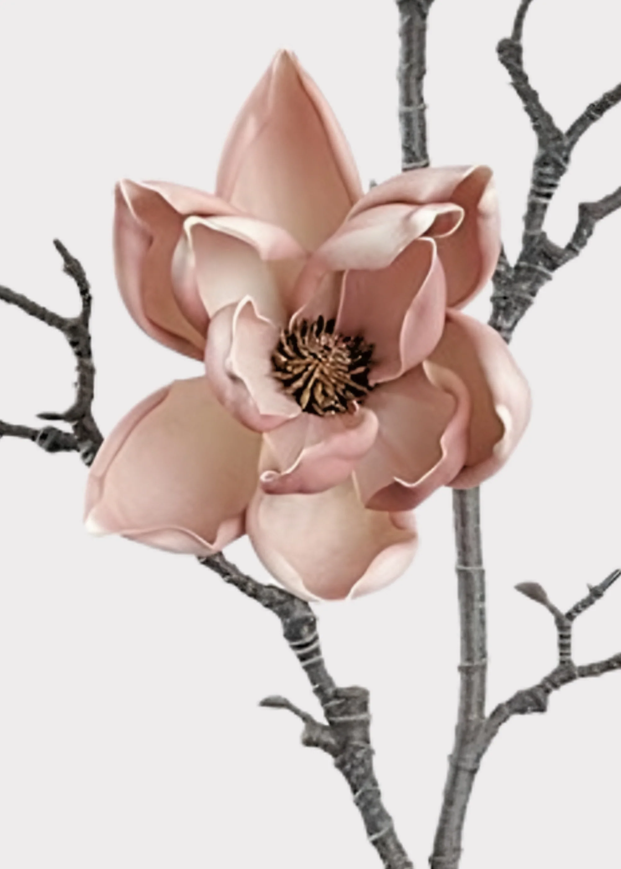 Mauve Beige Artificial Magnolia Flower Branch - 39.5" - Image 2