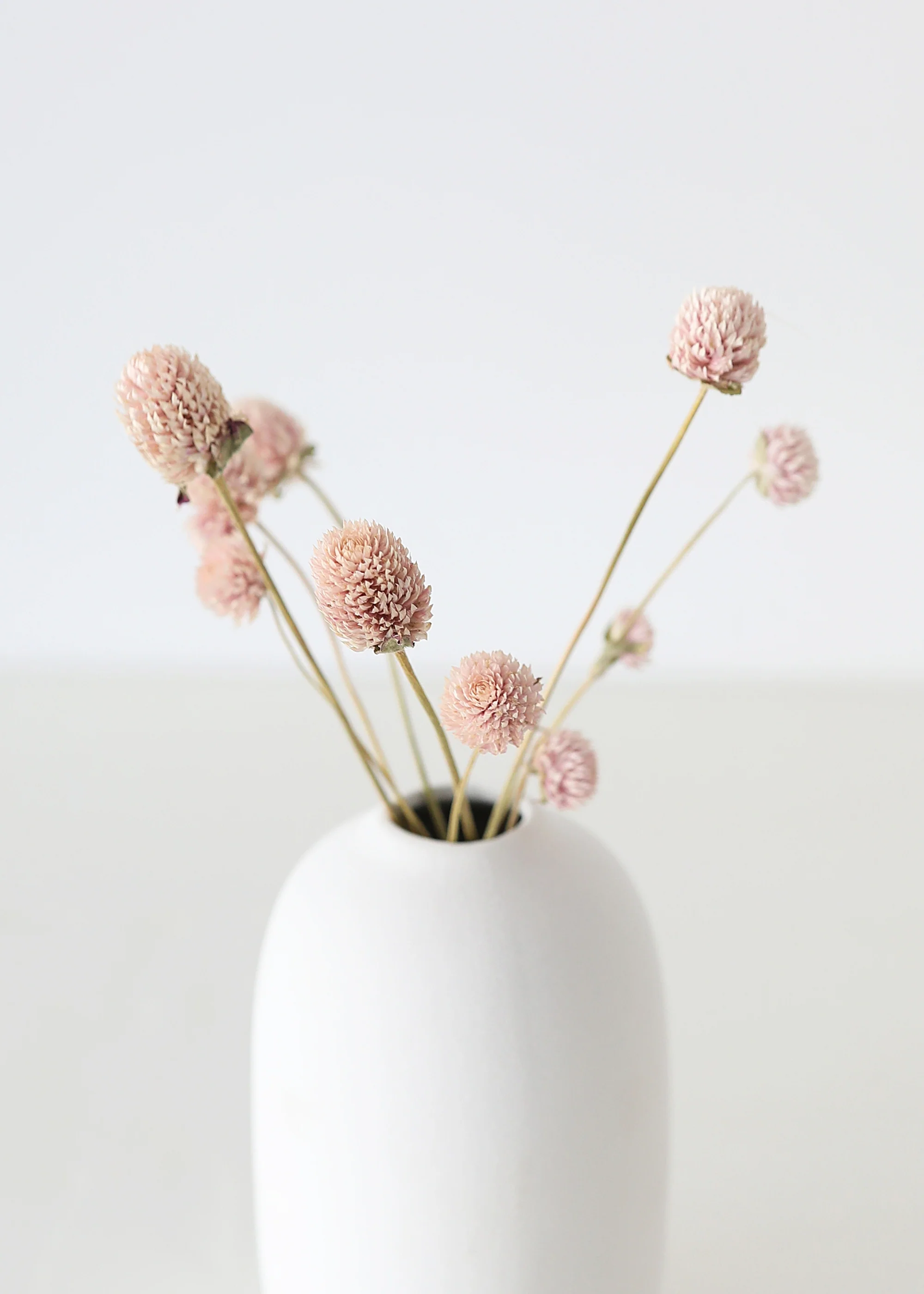Air-Dried Globe Amaranth in Pink - 14-18" - Image 4