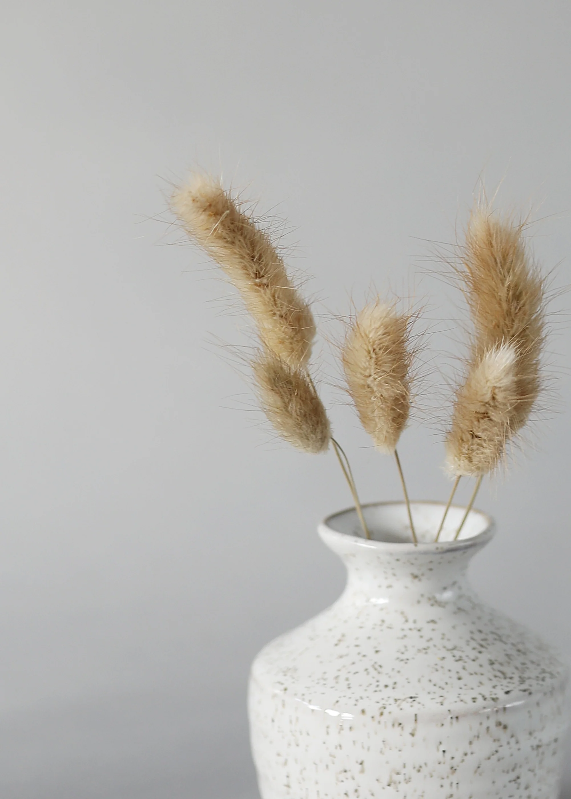 Natural Dried Bunny Tail Grass Bunch - 32" - Image 2