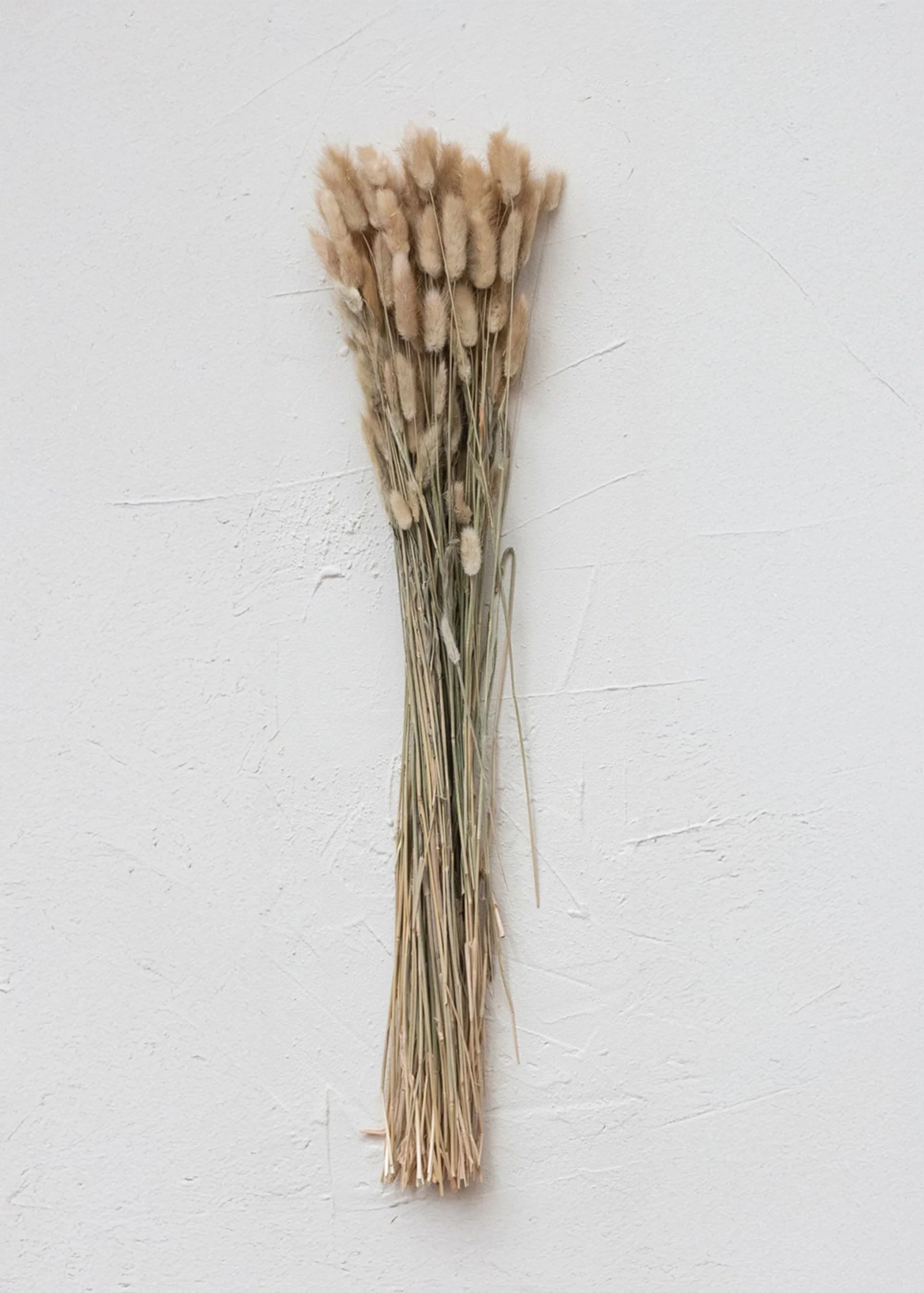 Natural Dried Bunny Tail Grass Bunch - 32" - Image 4