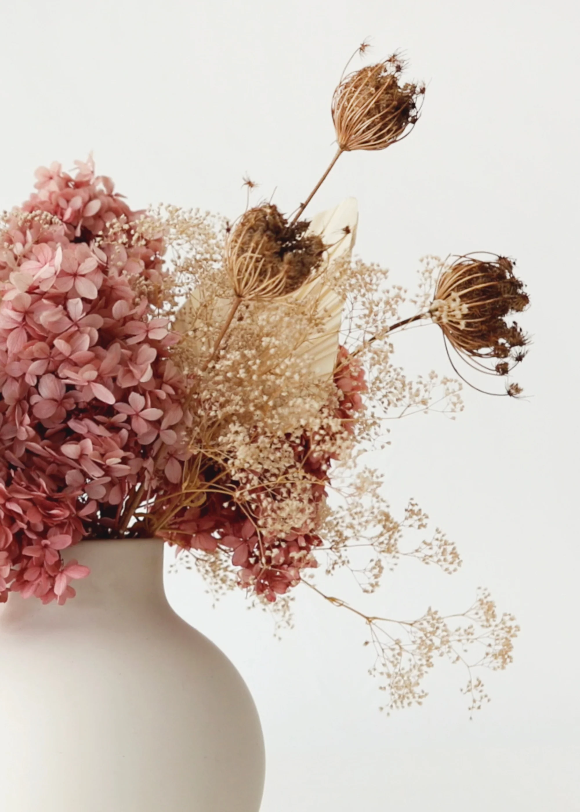 Natural Dried Queen Anne's Lace Flowers - 3.5 oz Bunch - Image 5