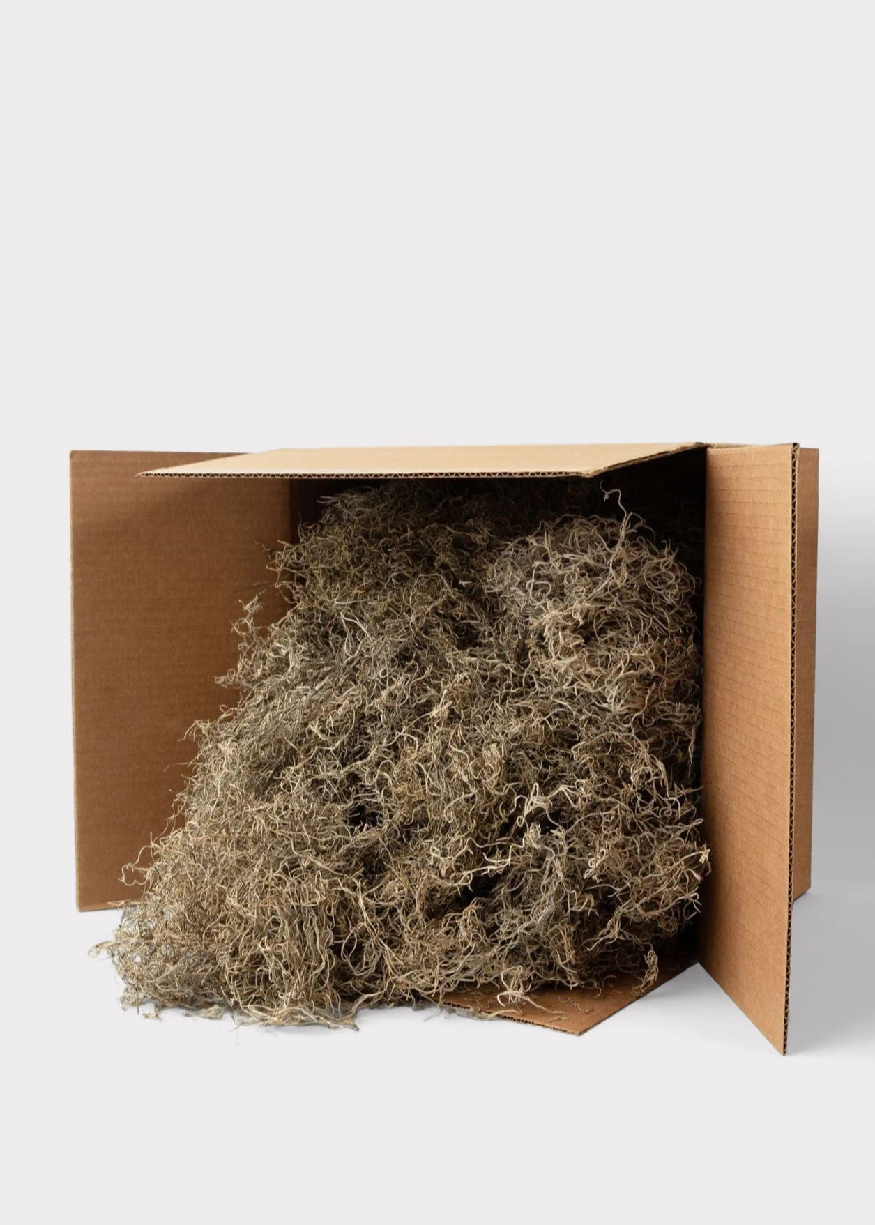 Natural Dried Spanish Moss