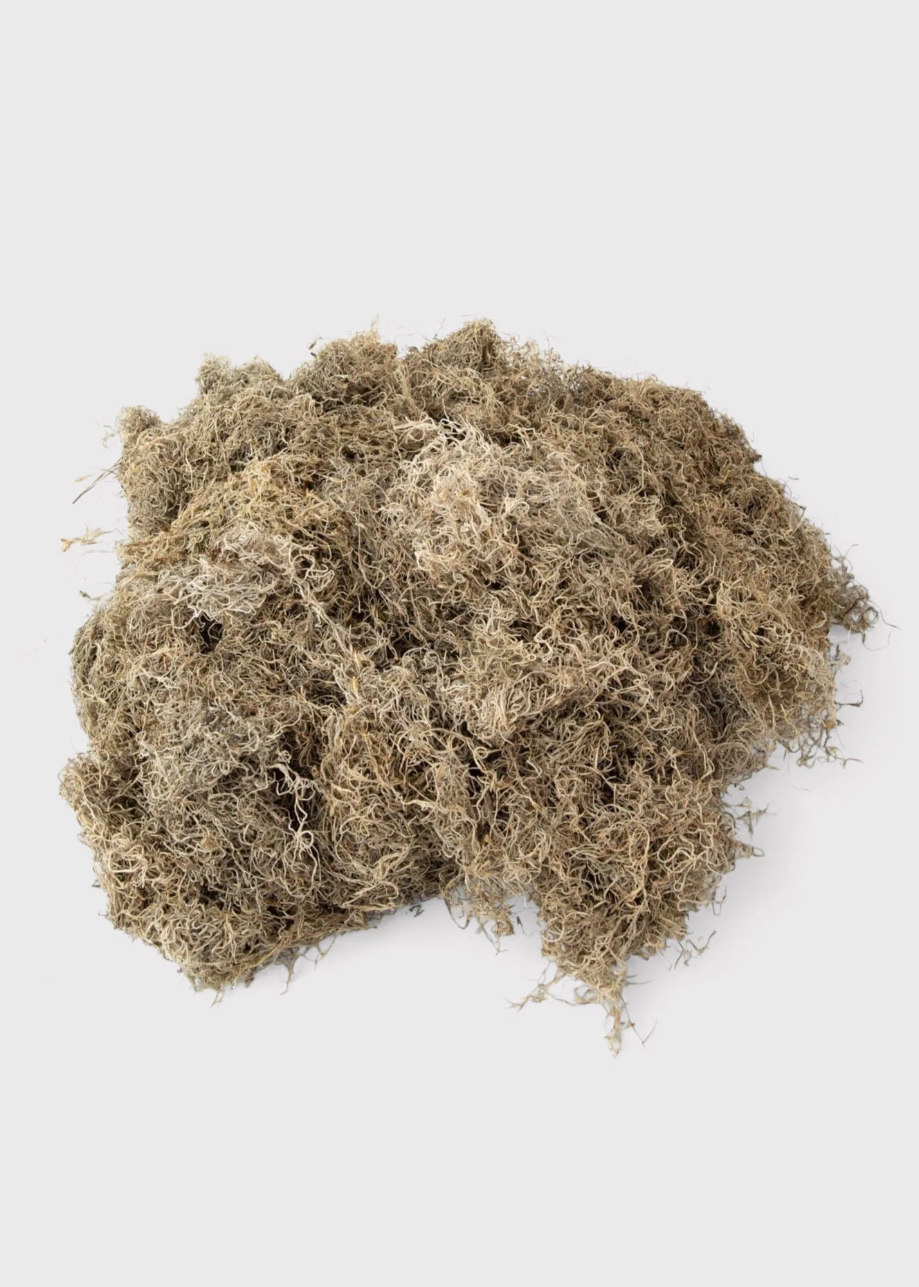 Natural Dried Spanish Moss - Image 2