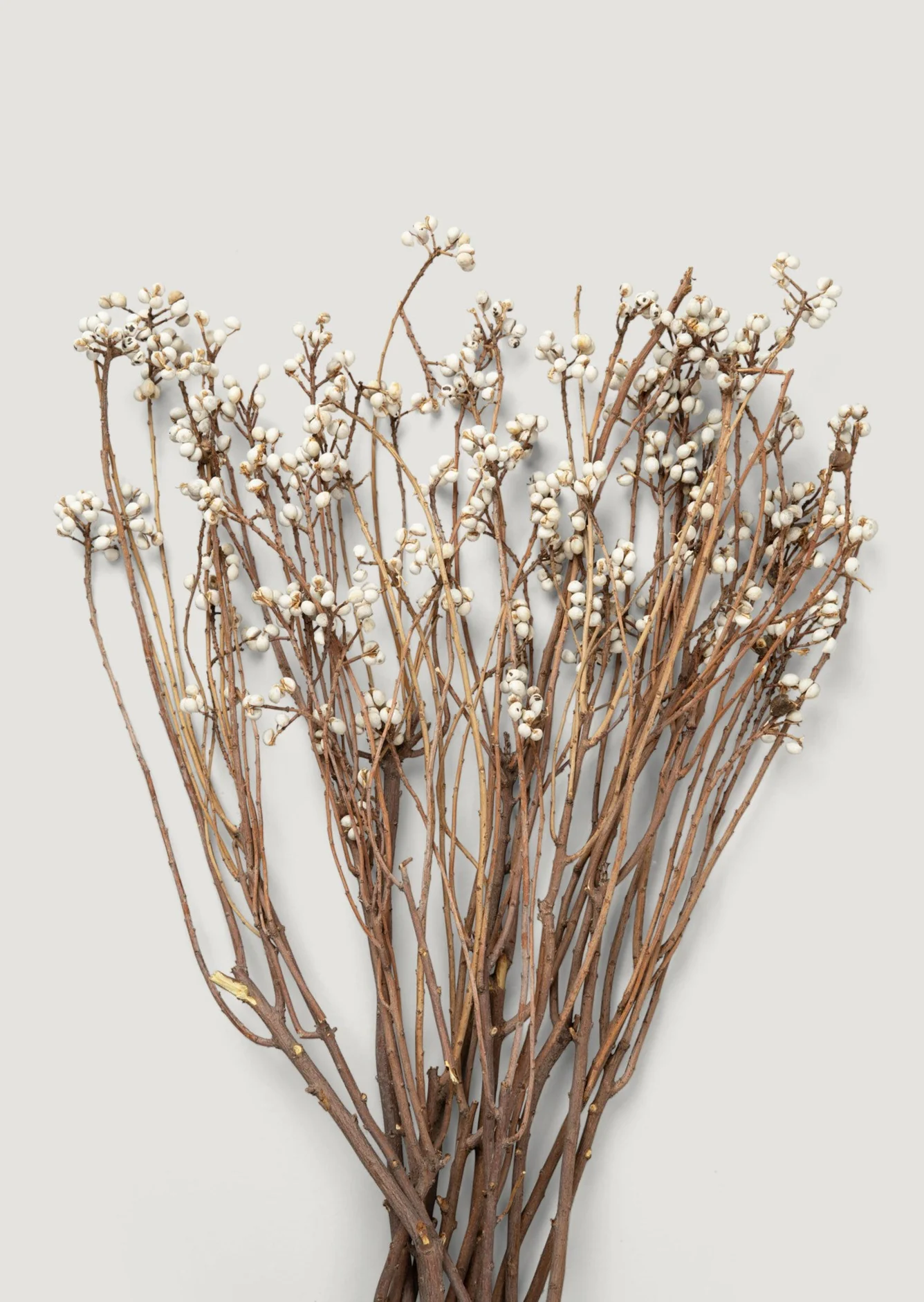Natural Dried Flowers Tall Tallow Berry Bundle - 23-27.5" - Image 2