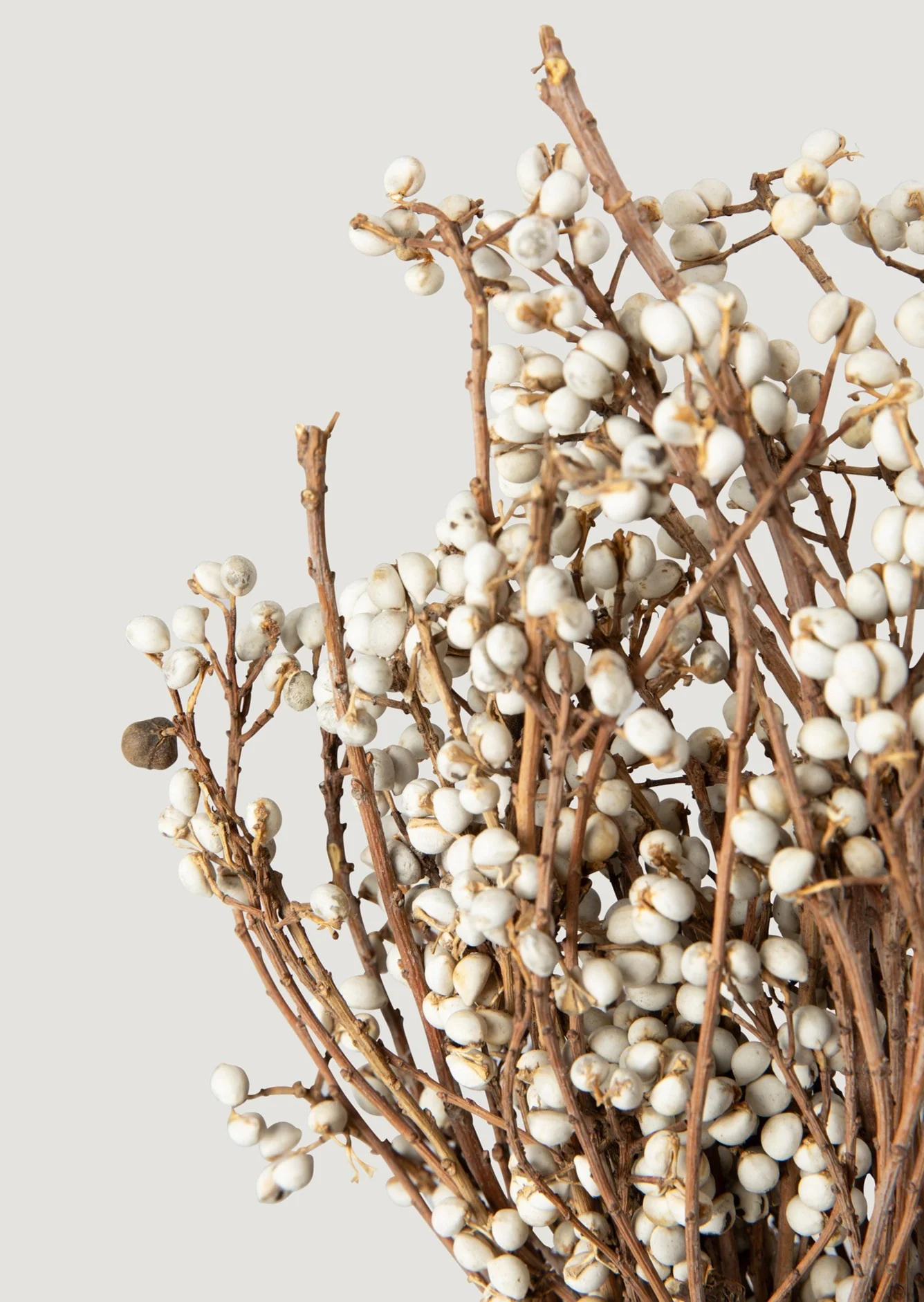 Natural Dried Flowers Tall Tallow Berry Bundle - 23-27.5" - Image 3