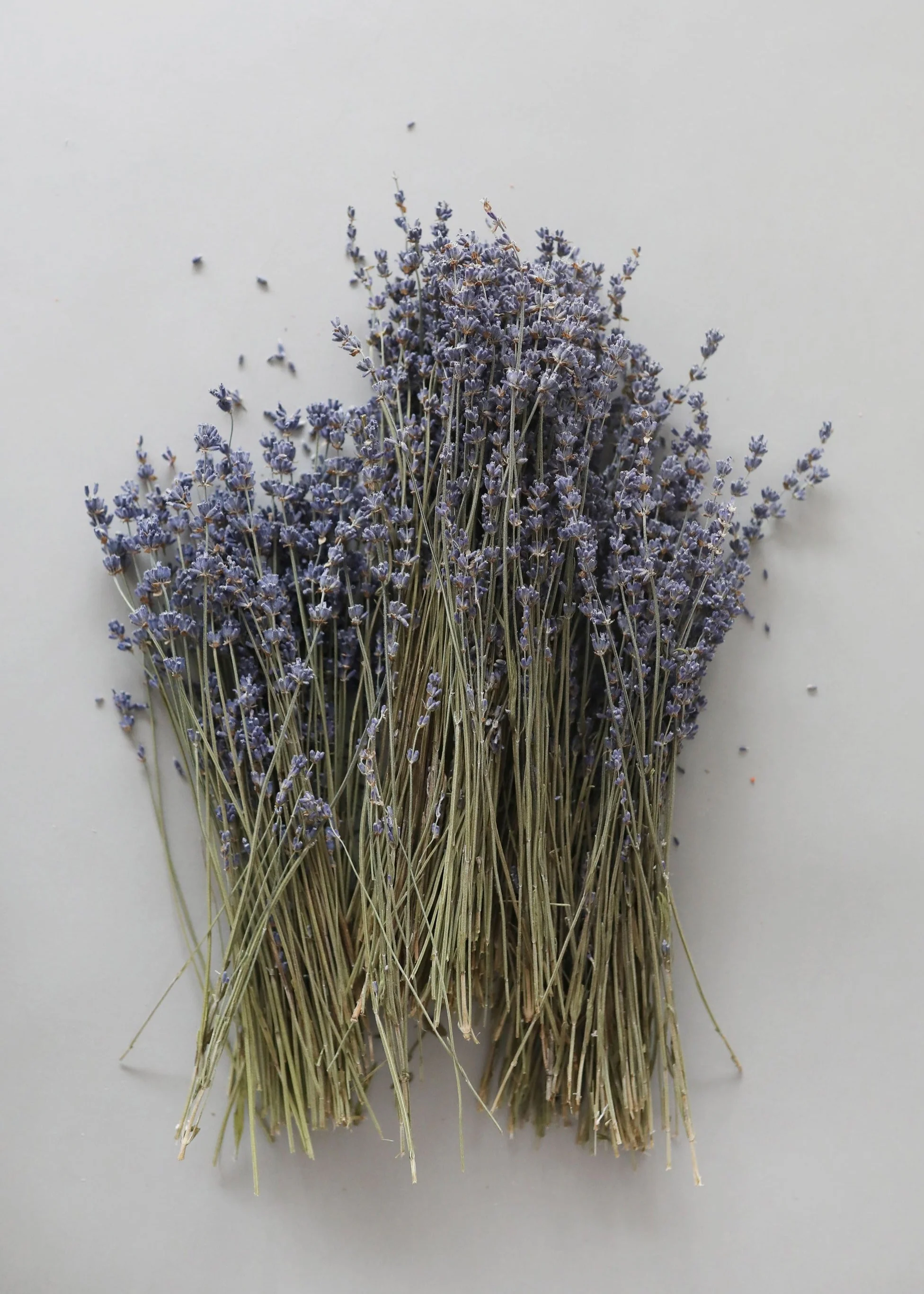 Natural Fragrant Dried Lavender Bundle - 6-14" - Image 2