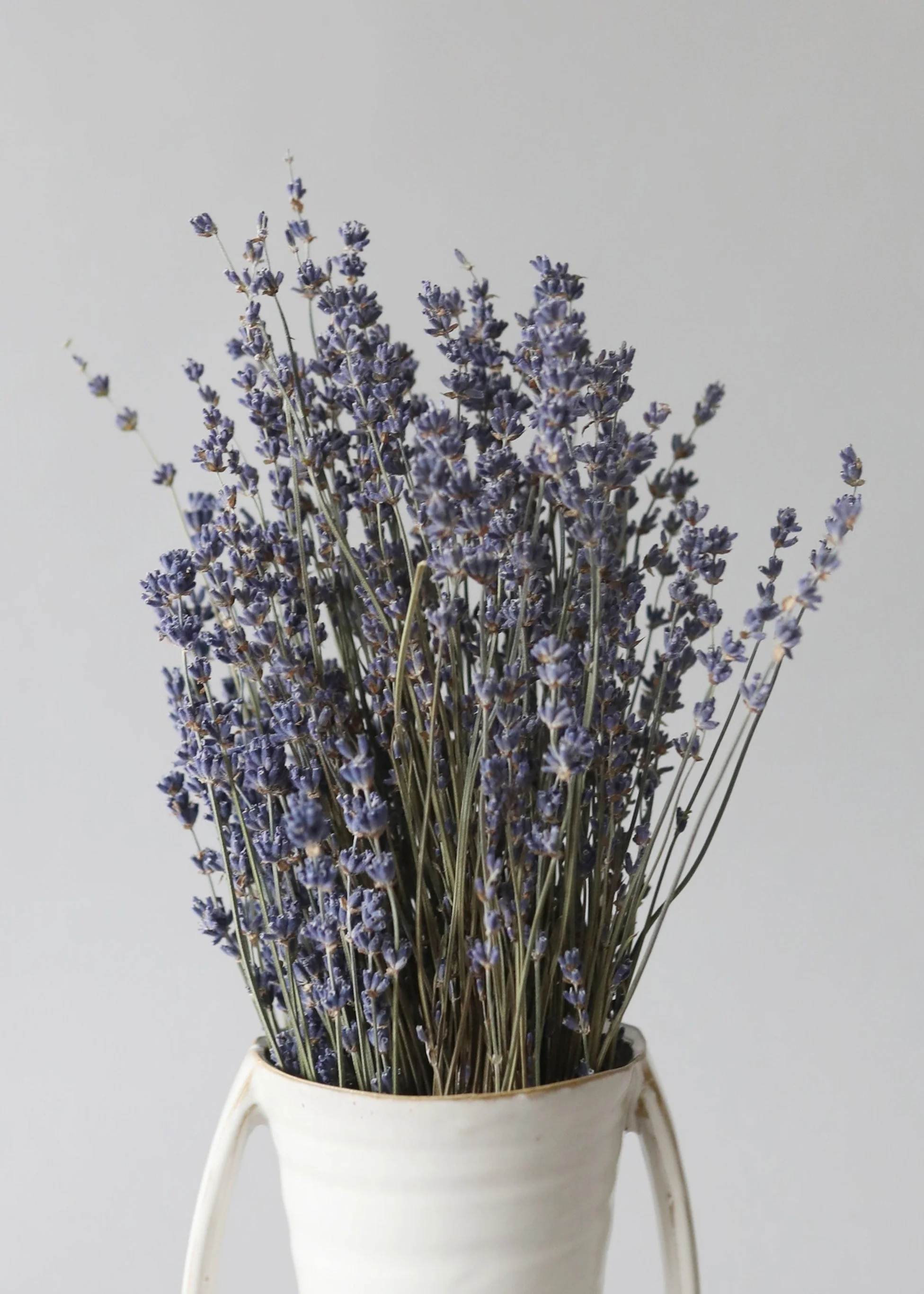 Natural Fragrant Dried Lavender Bundle - 6-14" - Image 4