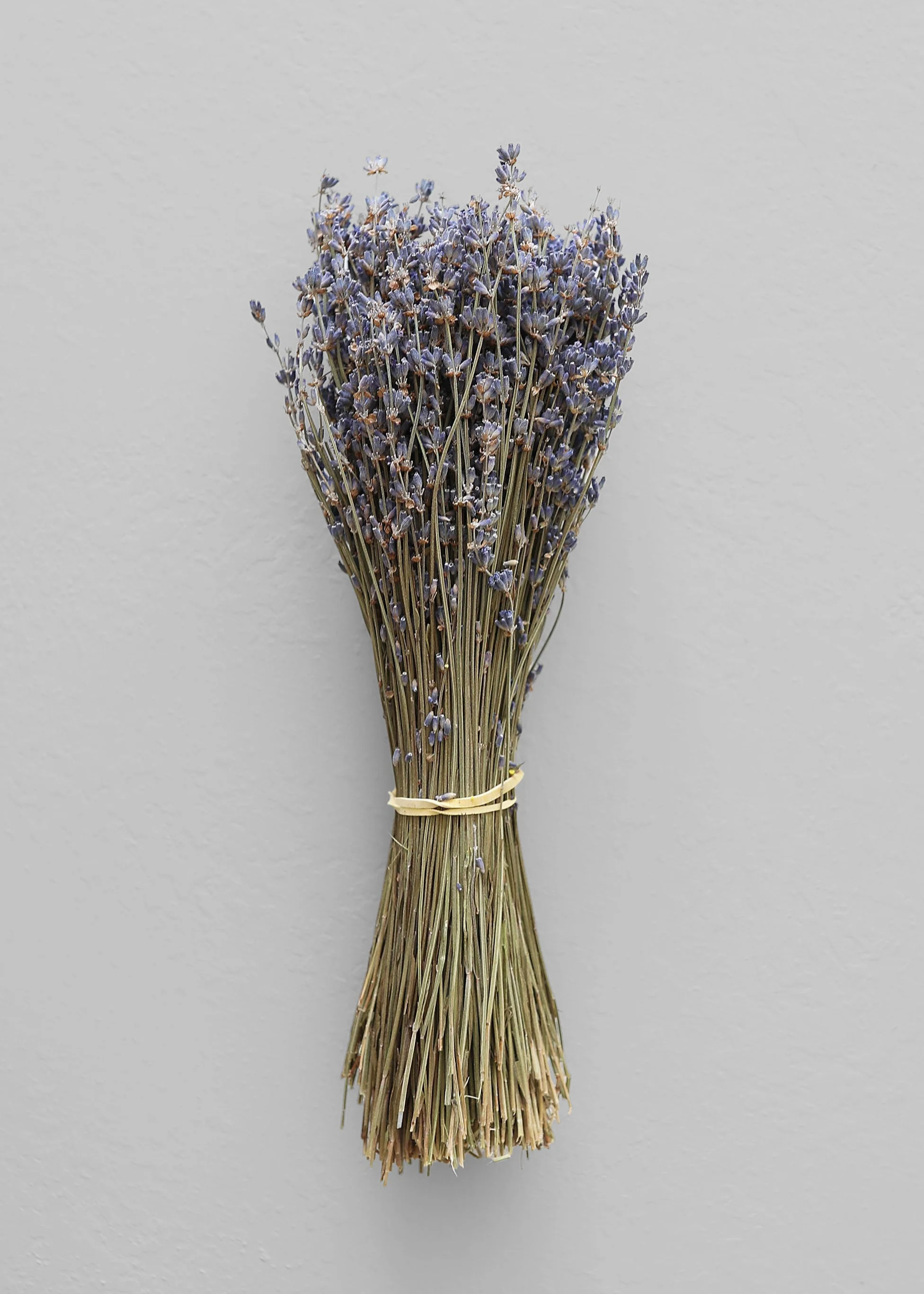 Natural Fragrant Dried Lavender Bundle - 6-14" - Image 5