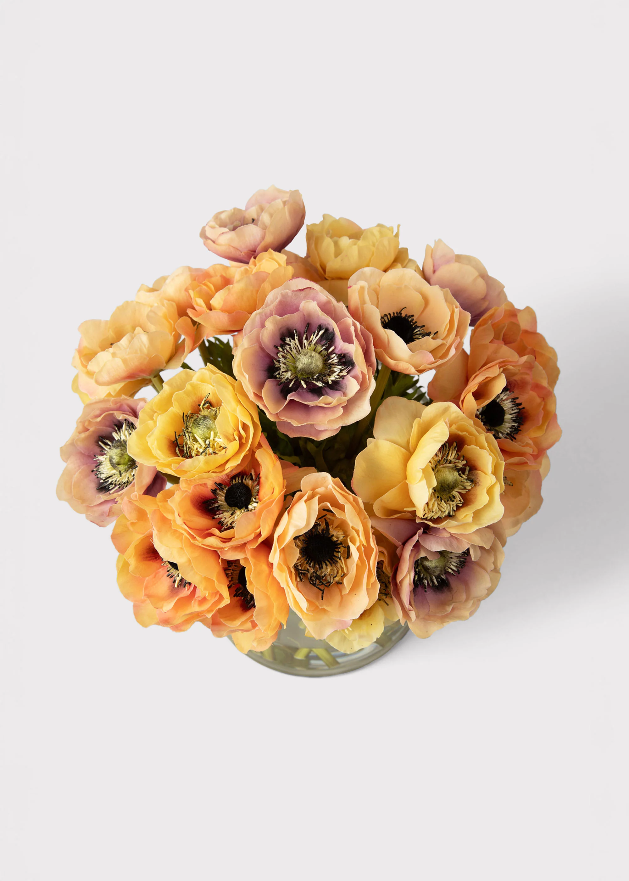 Natural Touch Anemone Flower Arrangement in Glass Vase - 12" - Image 3