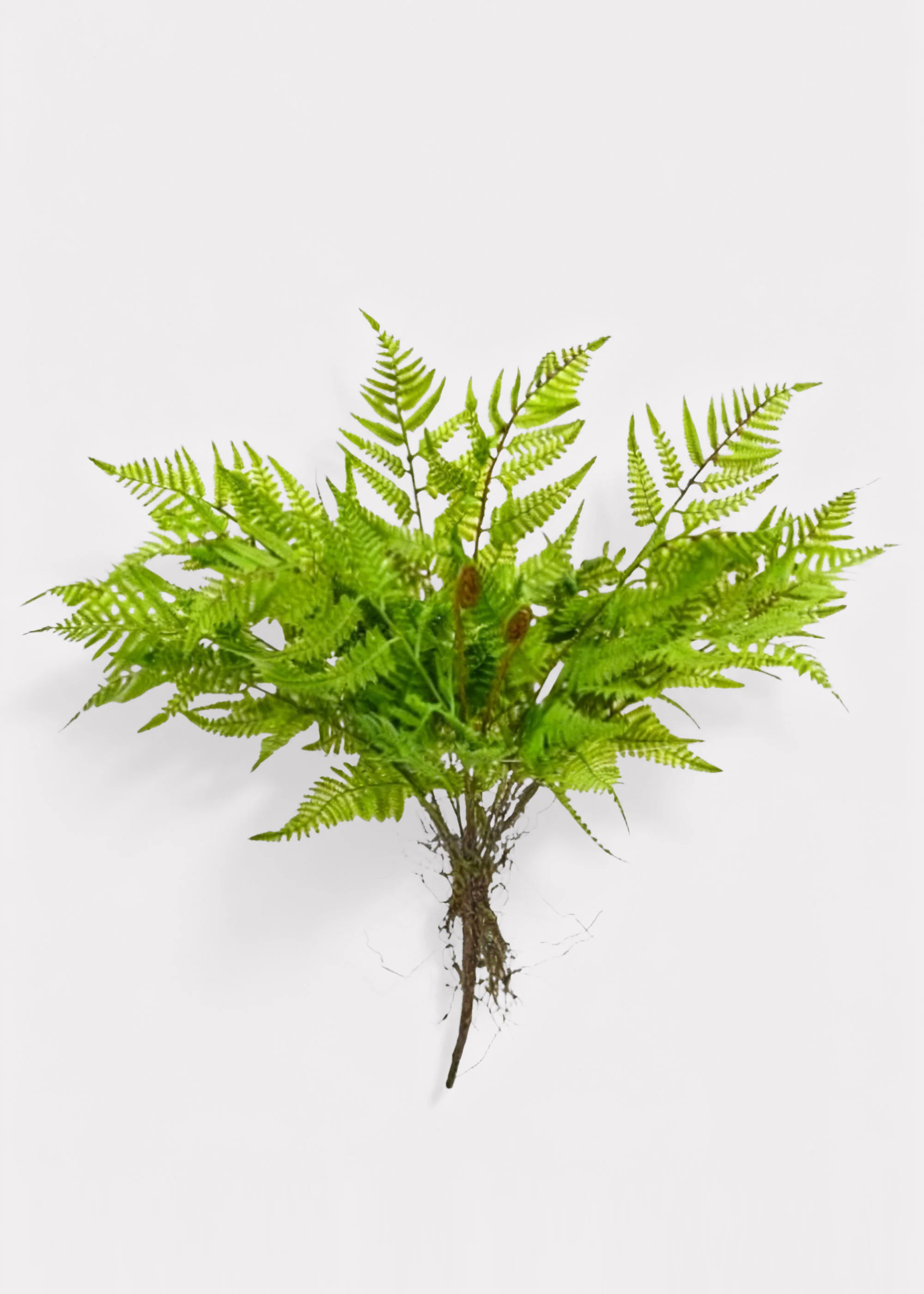 Natural Touch Artificial Leather Fern Plant - 18"