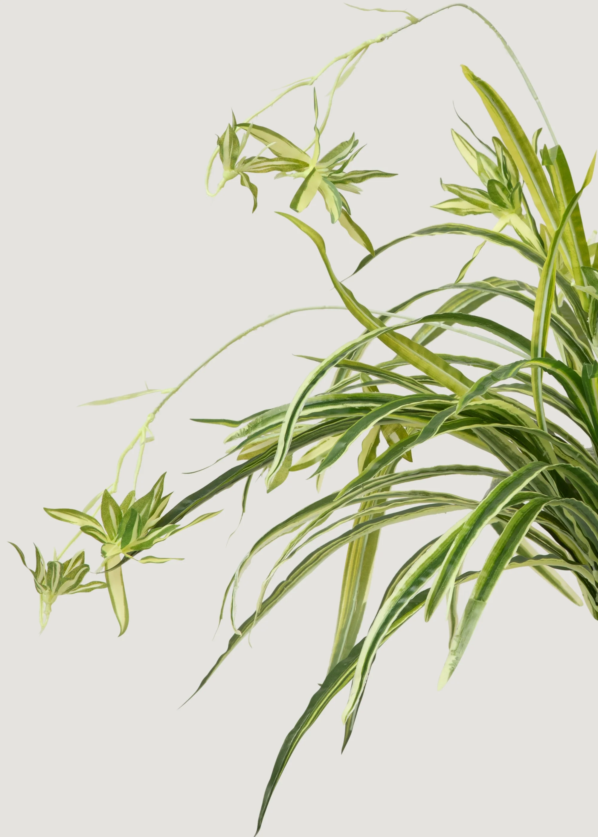 Natural Touch Fake Spider Plant - 32" - Image 2