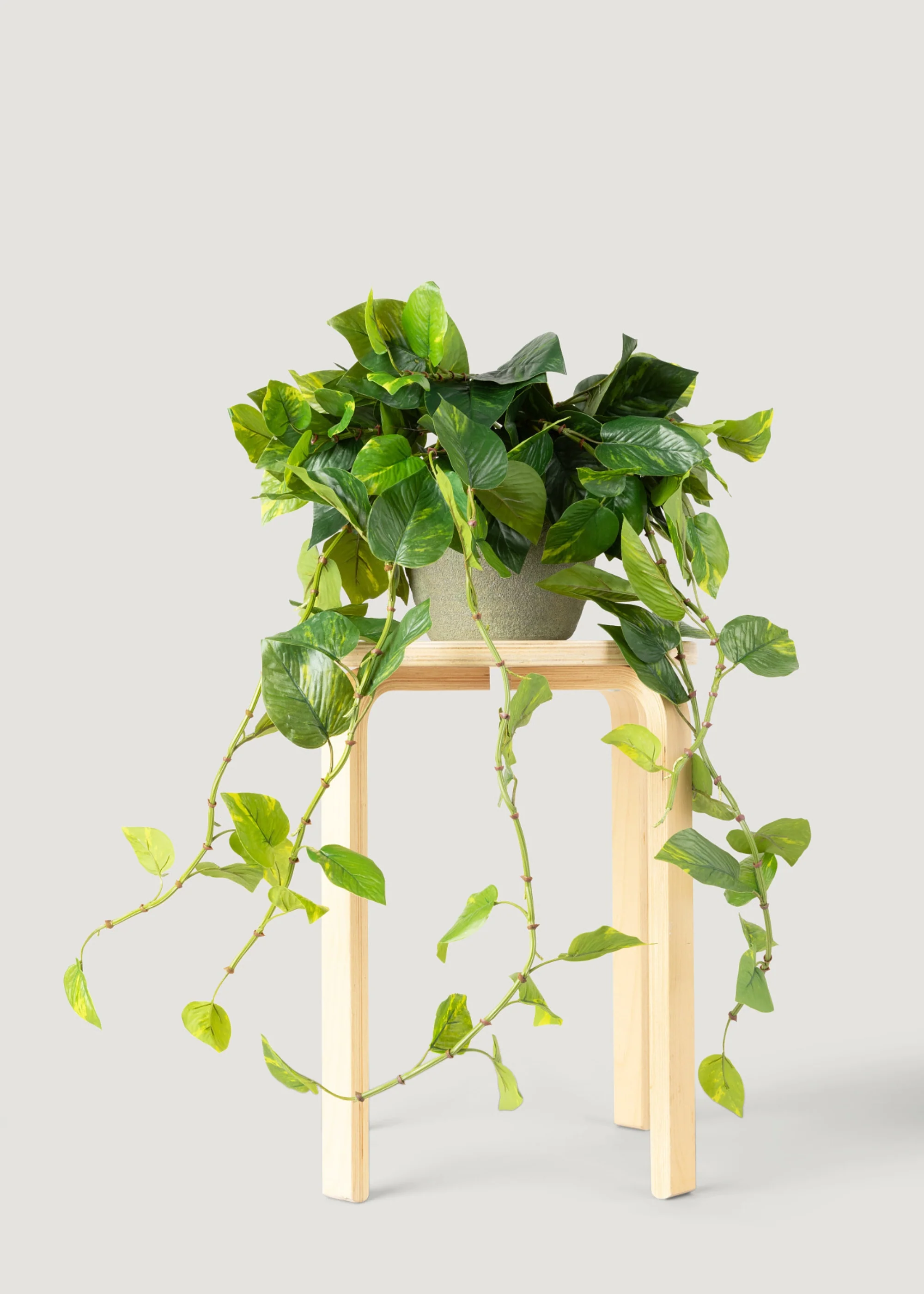 Everyday Best-Selling Artificial Plants and Dried Grasses