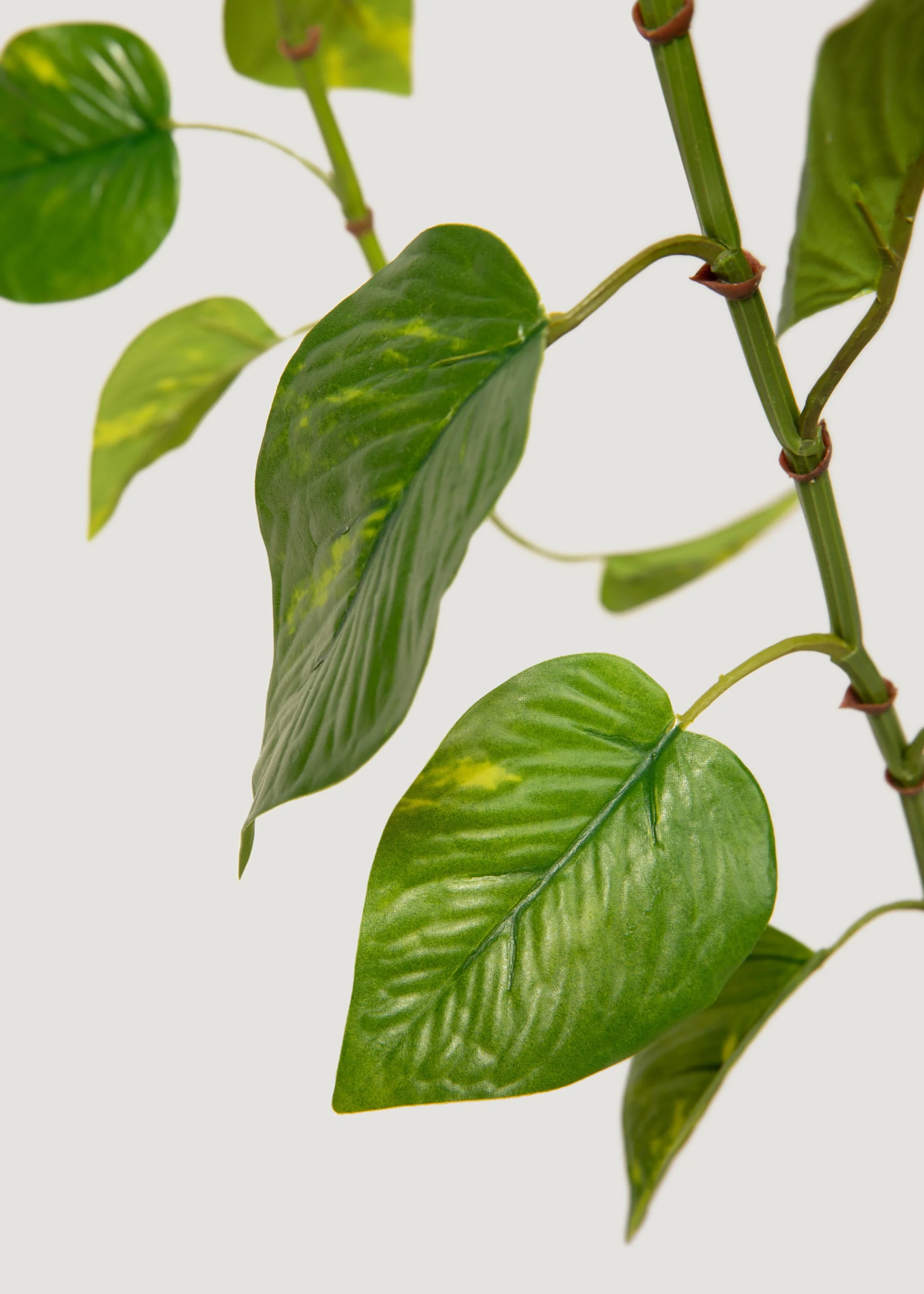 Natural Touch Pothos Artificial Plant - 48" - Image 5