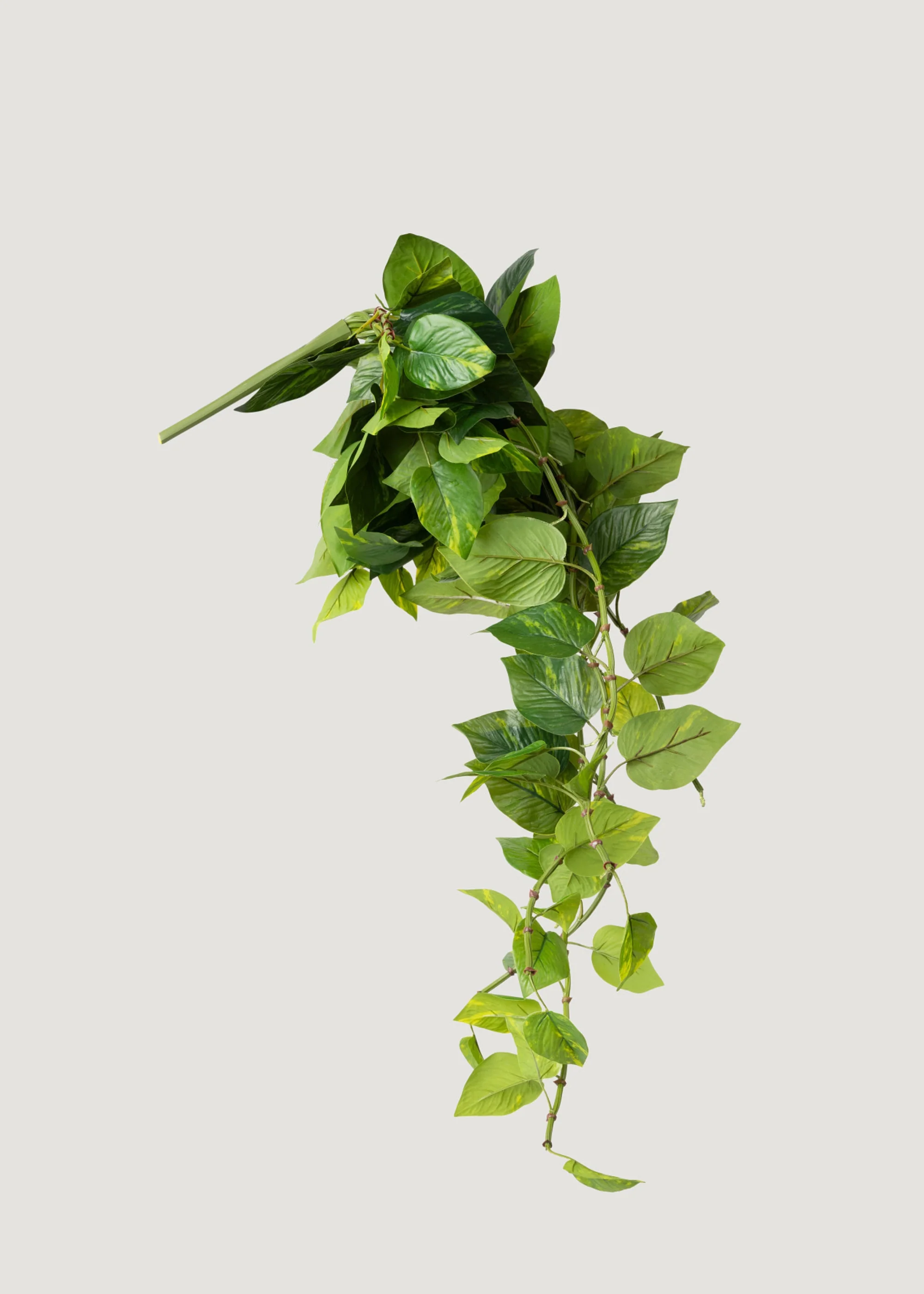 Natural Touch Pothos Artificial Plant - 48" - Image 6