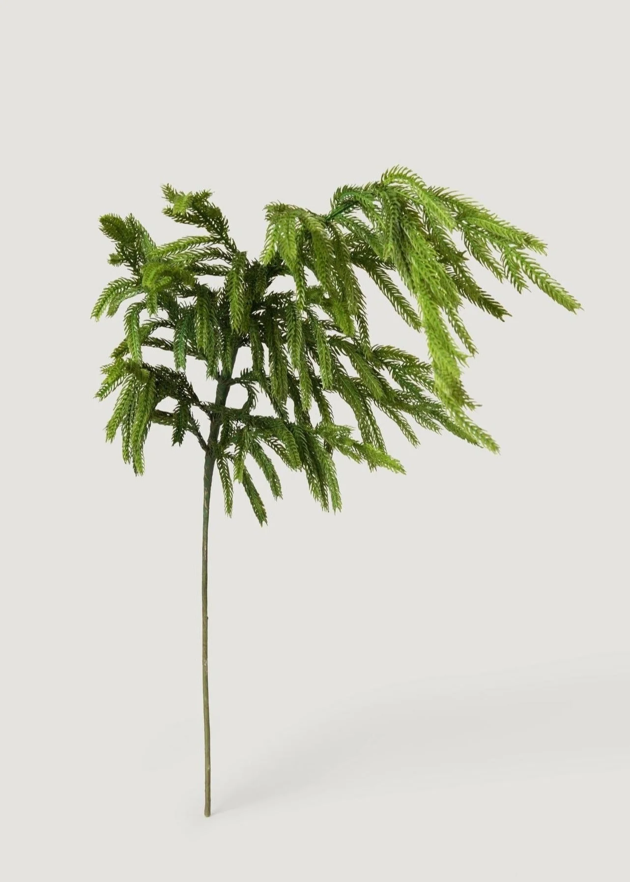 Afloral™ Real Touch Norfolk Pine Branch - 36" - Image 5