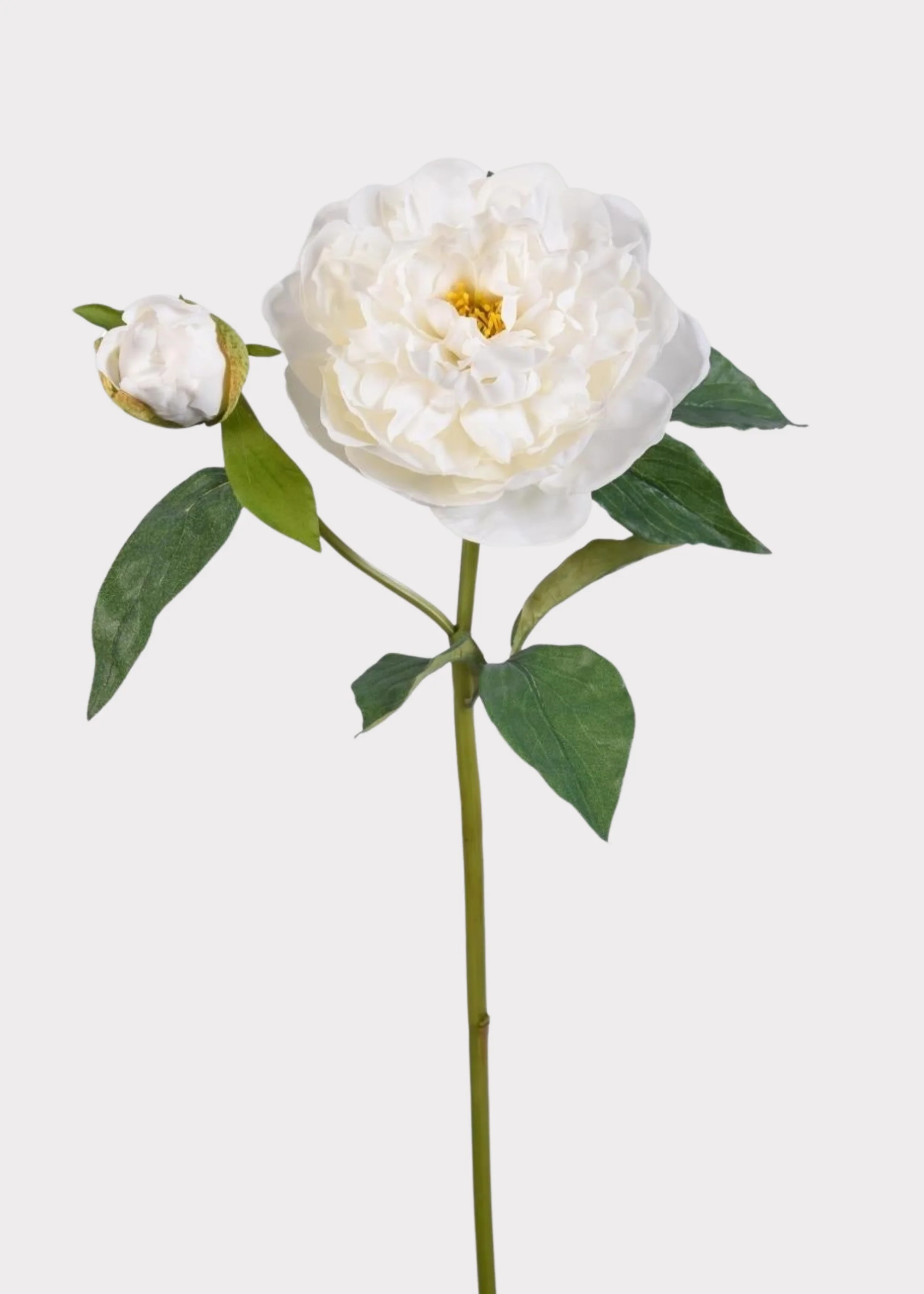 Natural Touch Peony Fake Flower in White - 35.5"