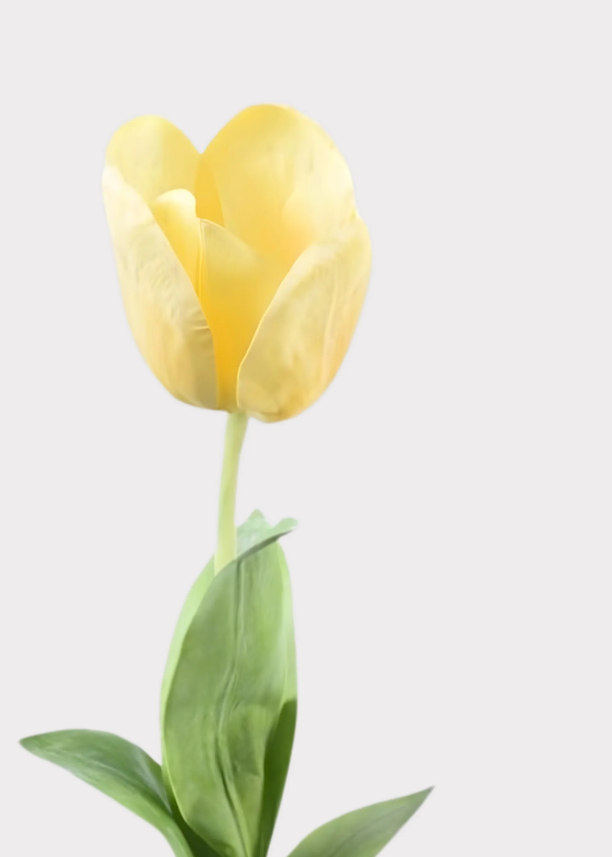 Natural Touch Tulip Fake Flower in Yellow - 43.5" - Image 2